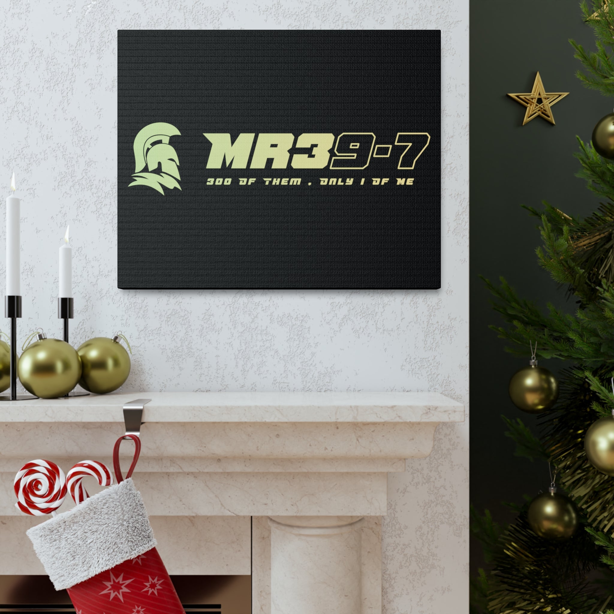 Canvas Gallery Wraps (A1•SPARTA RANGE)