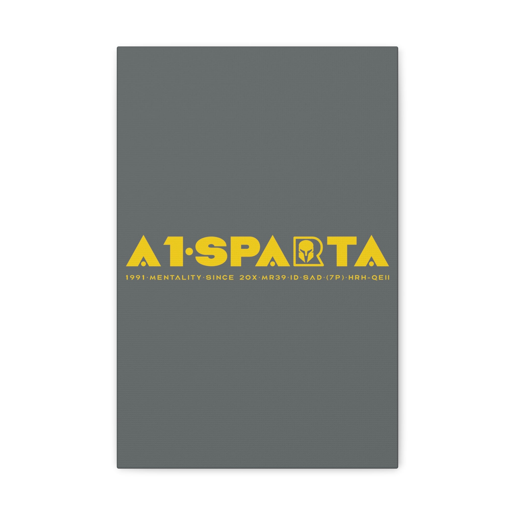 Canvas Gallery Wraps (A1•SPARTA RANGE)