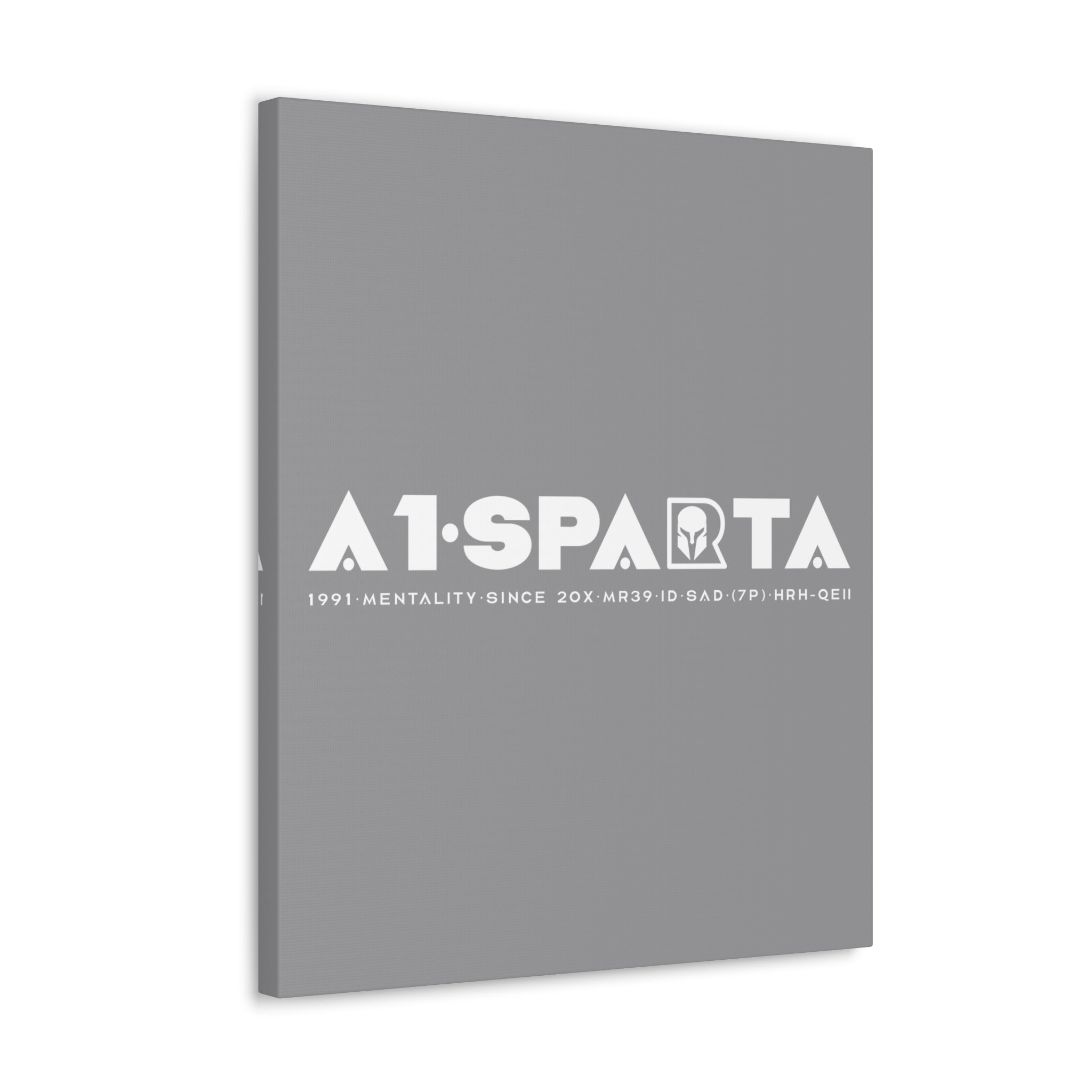 Canvas Gallery Wraps (A1•SPARTA RANGE)
