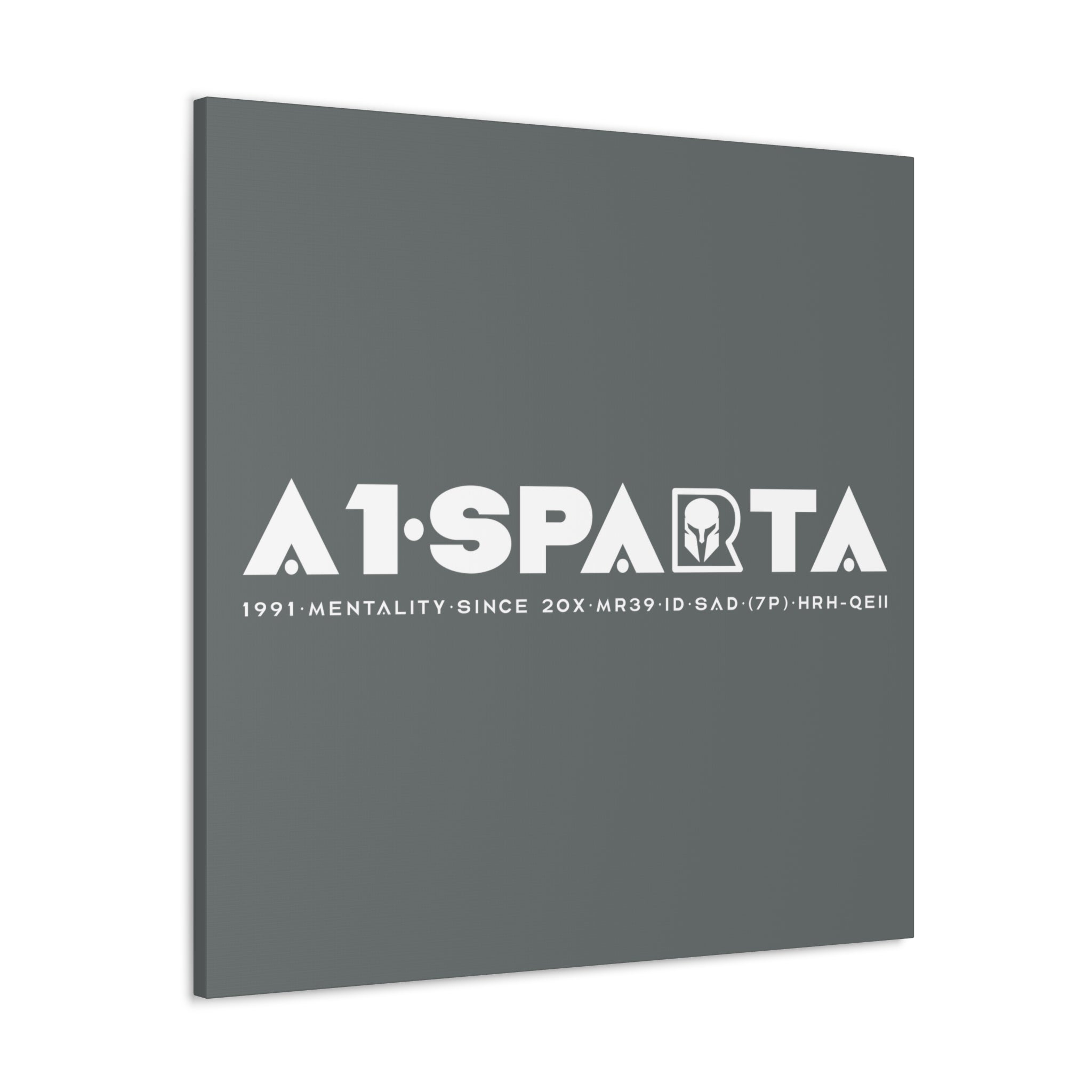Canvas Gallery Wraps (A1•SPARTA RANGE)
