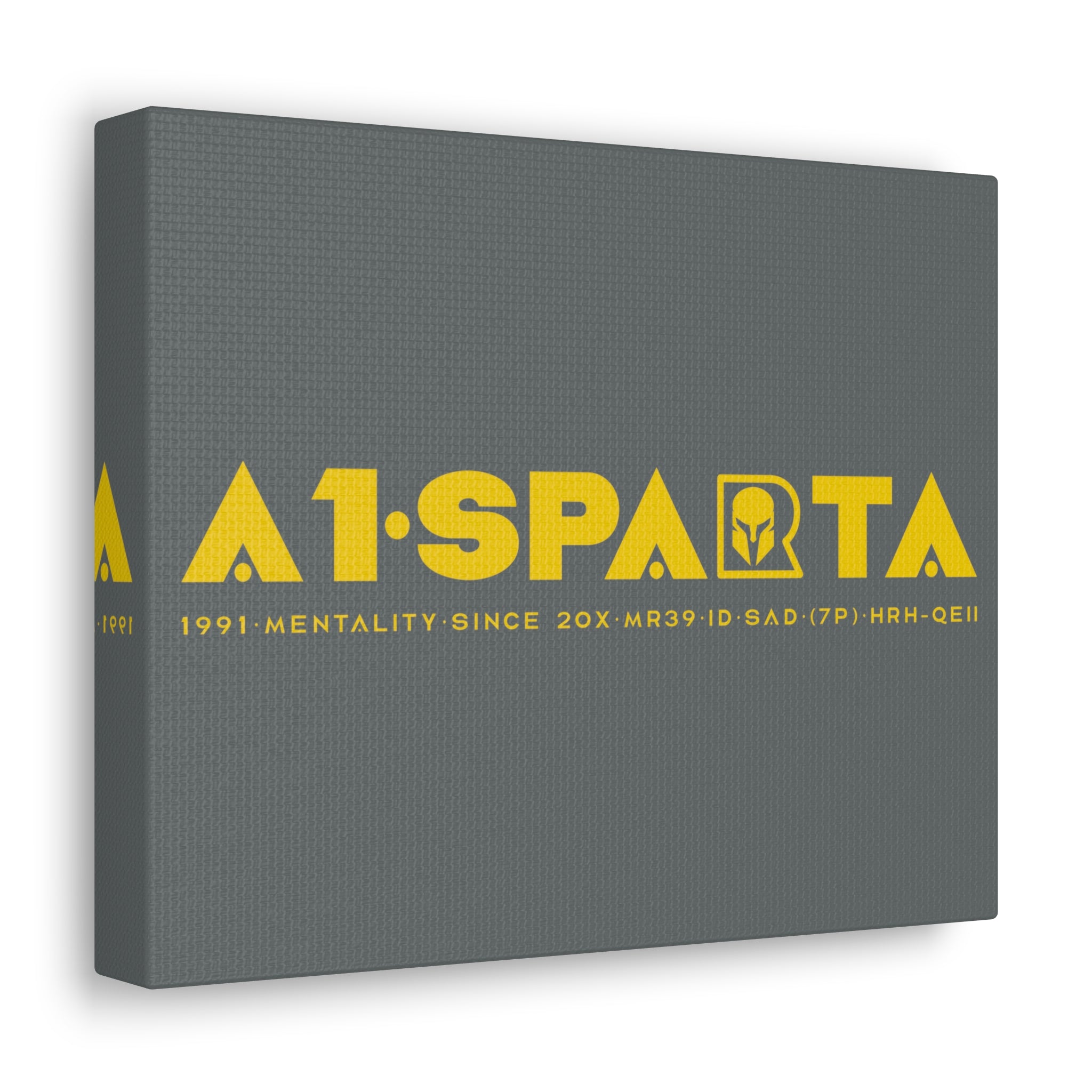 Canvas Gallery Wraps (A1•SPARTA RANGE)