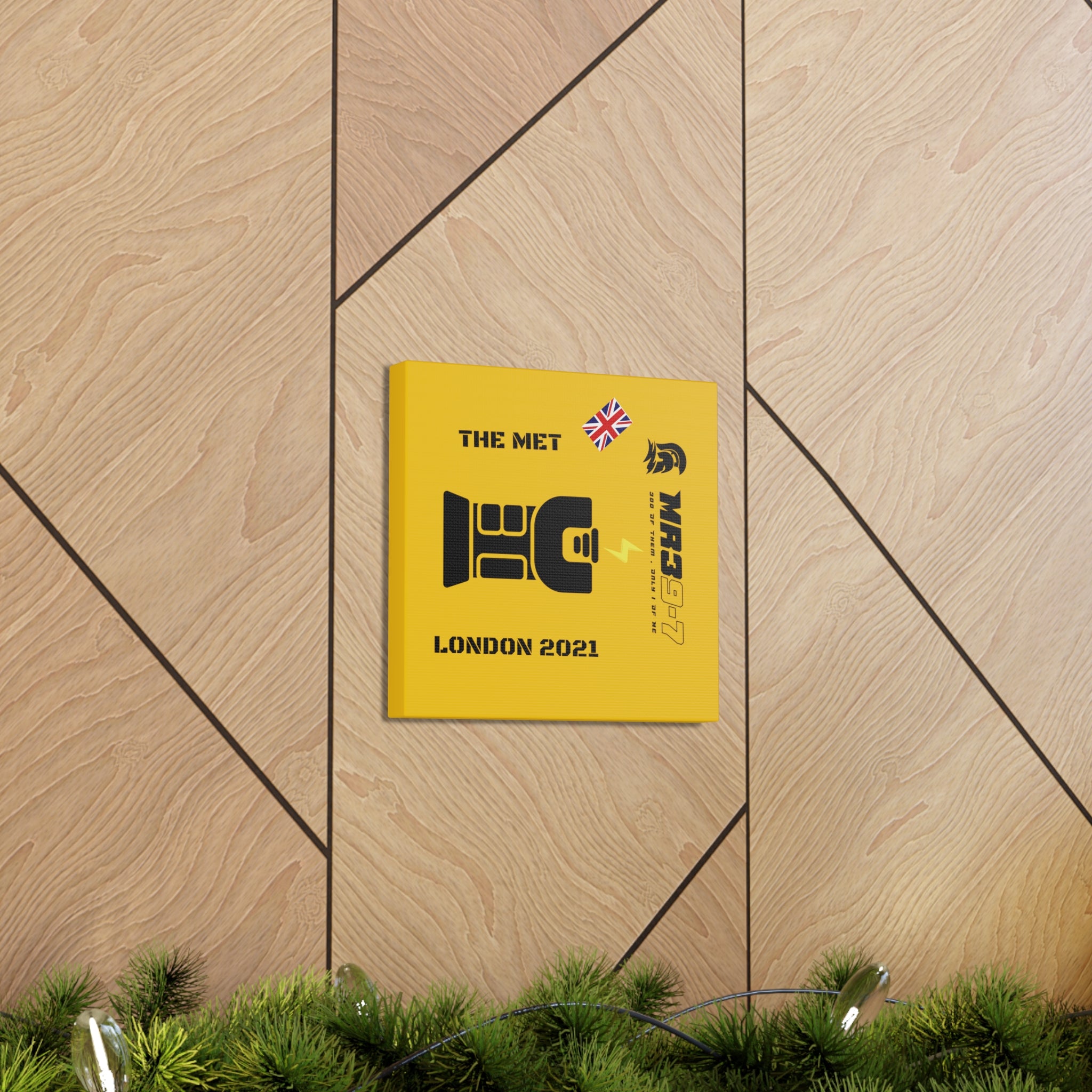 Canvas Gallery Wraps MR 39 Tasered by The MET 2021