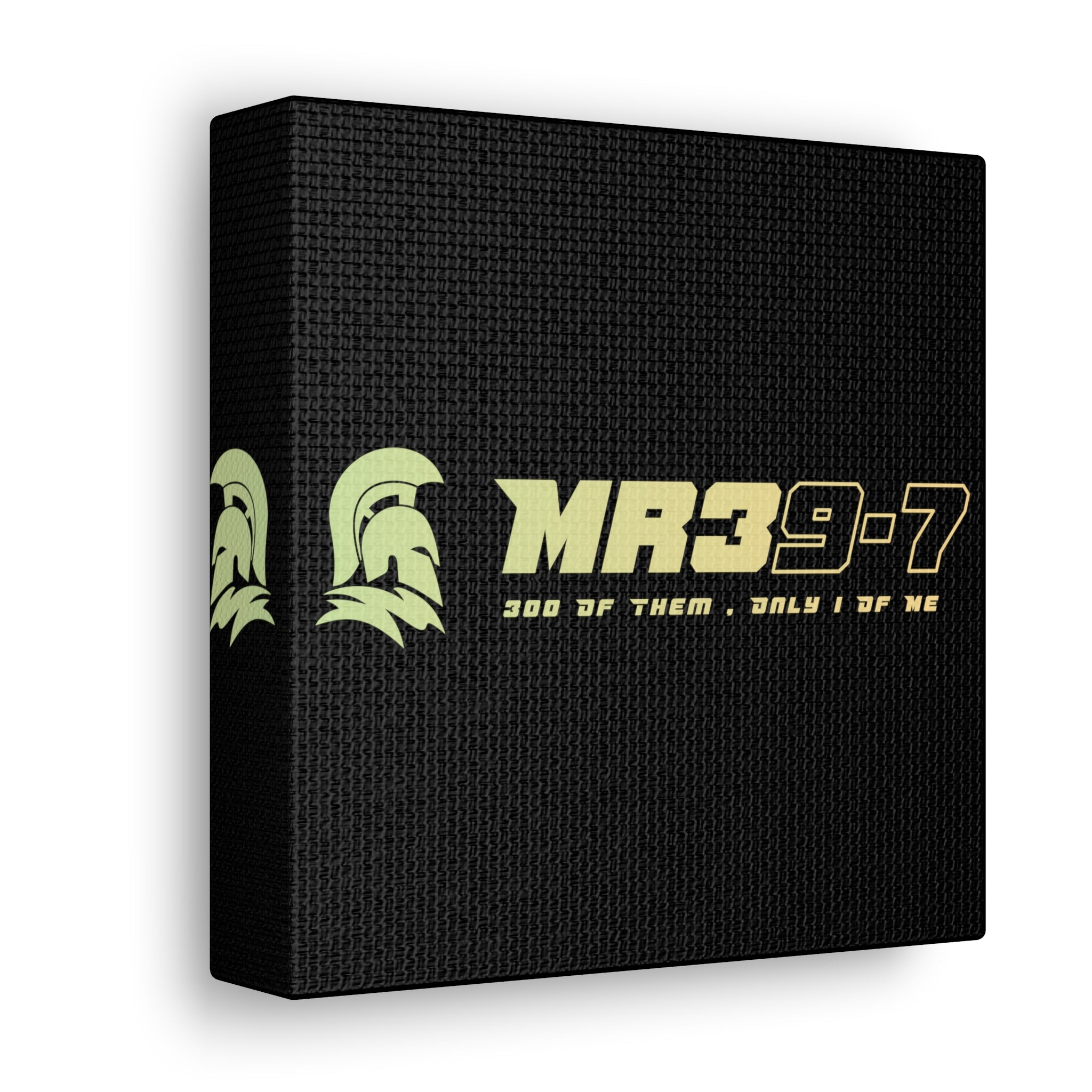 Canvas Gallery Wraps (A1•SPARTA RANGE)