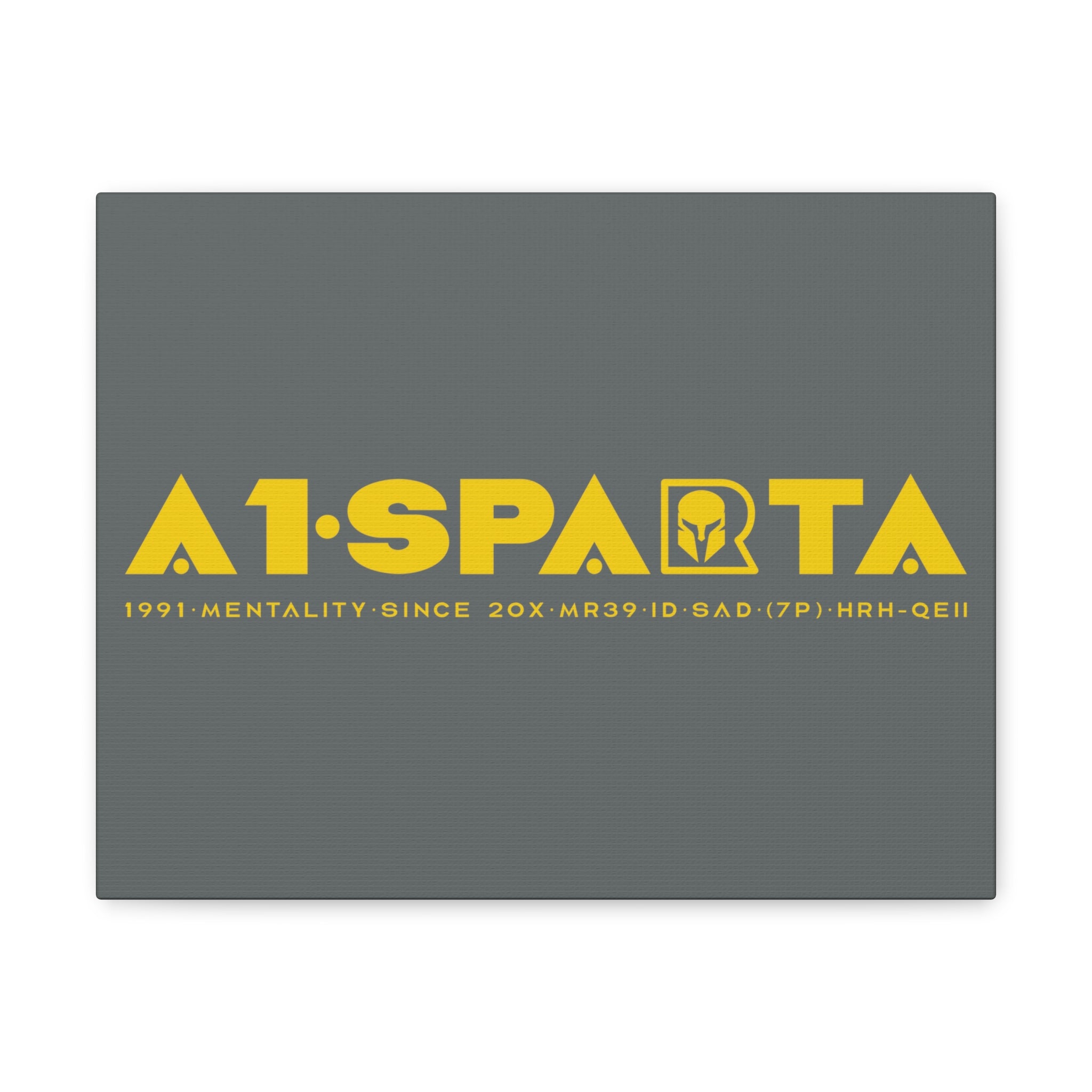 Canvas Gallery Wraps (A1•SPARTA RANGE)