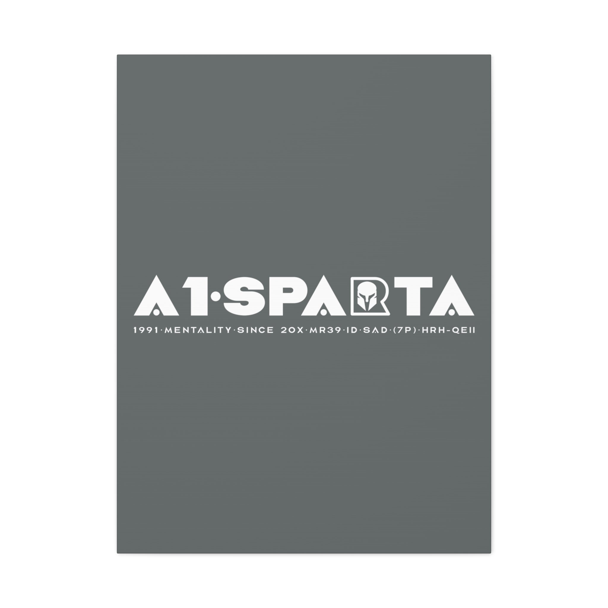 Canvas Gallery Wraps (A1•SPARTA RANGE)