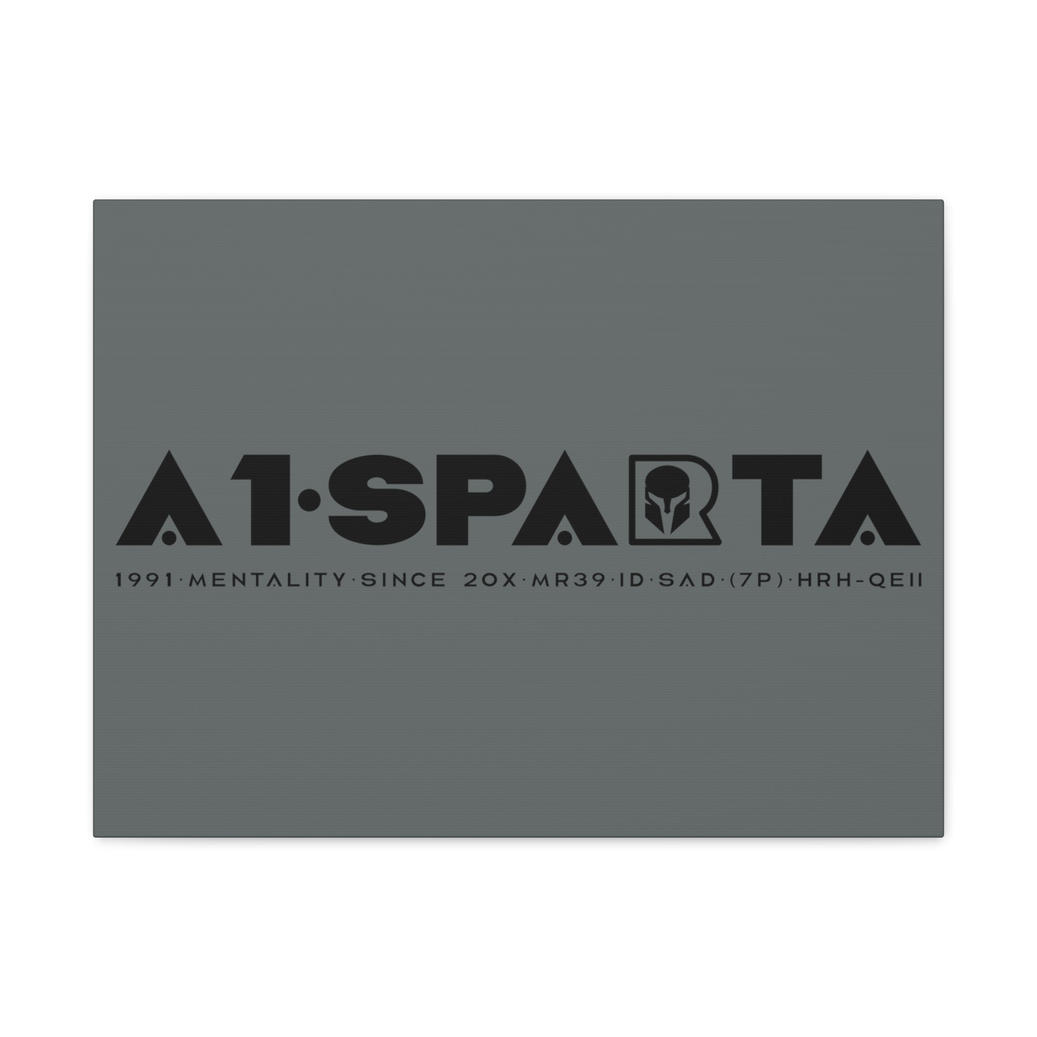 Canvas Gallery Wraps (A1•SPARTA RANGE)