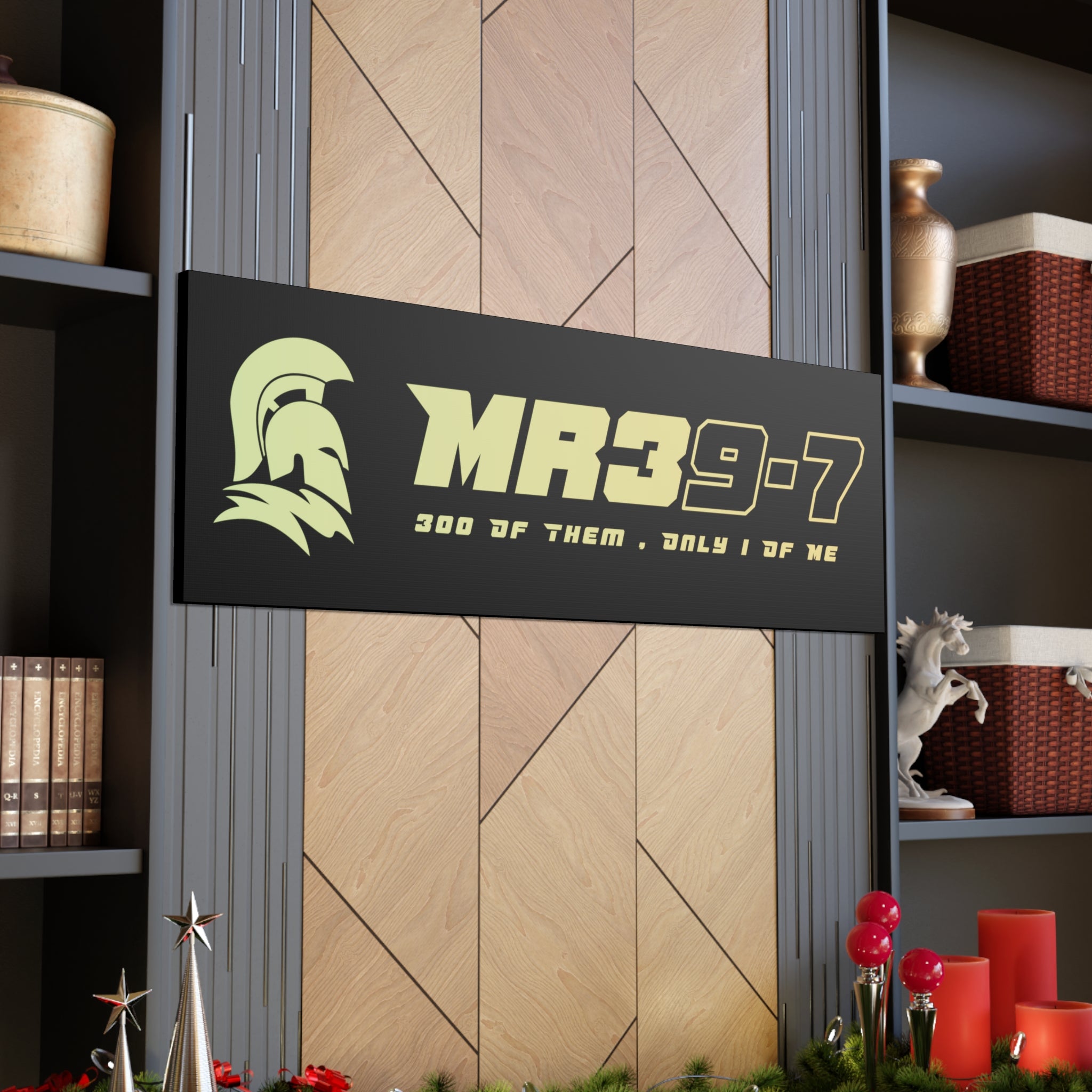 Canvas Gallery Wraps (A1•SPARTA RANGE)