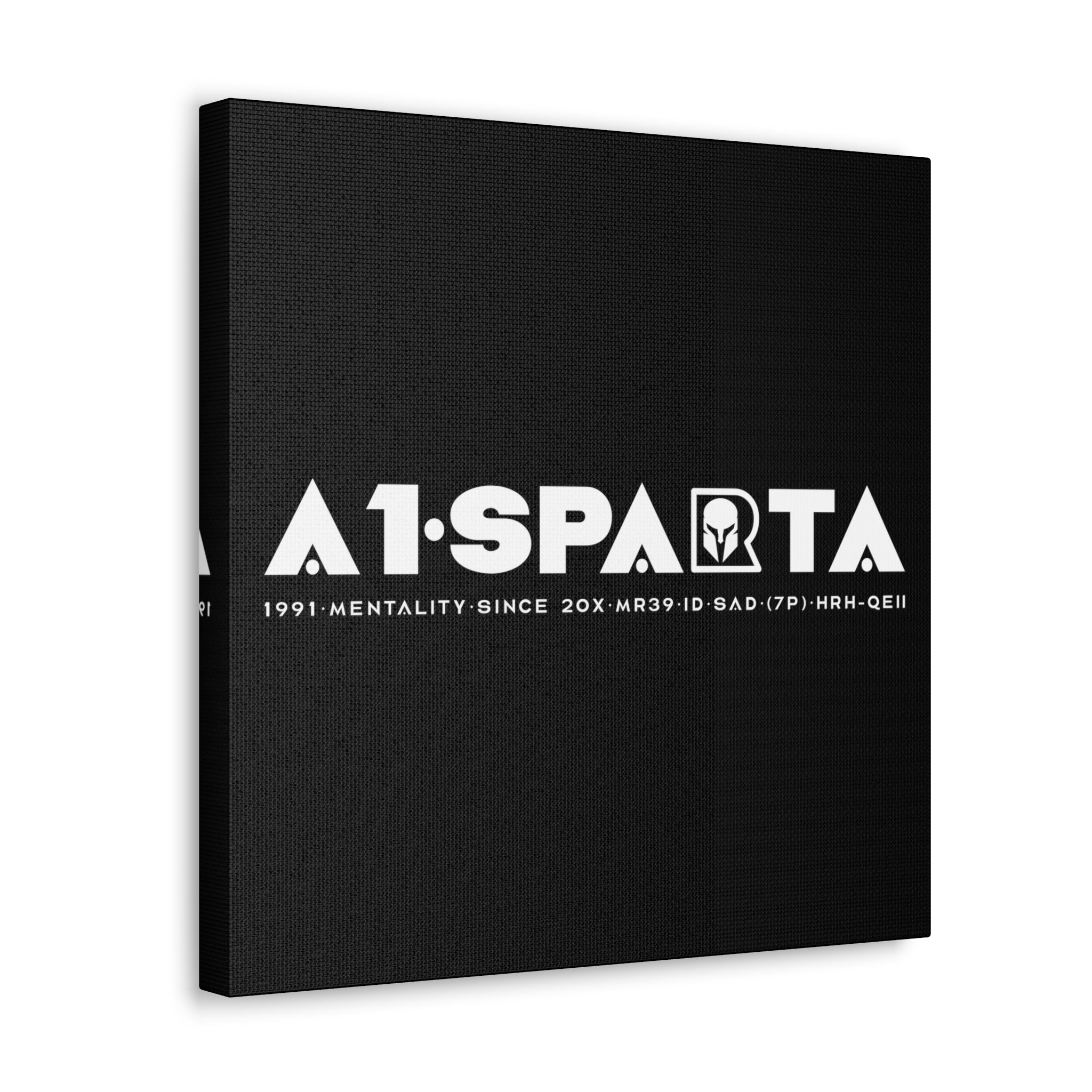 Canvas Gallery Wraps (A1•SPARTA RANGE)