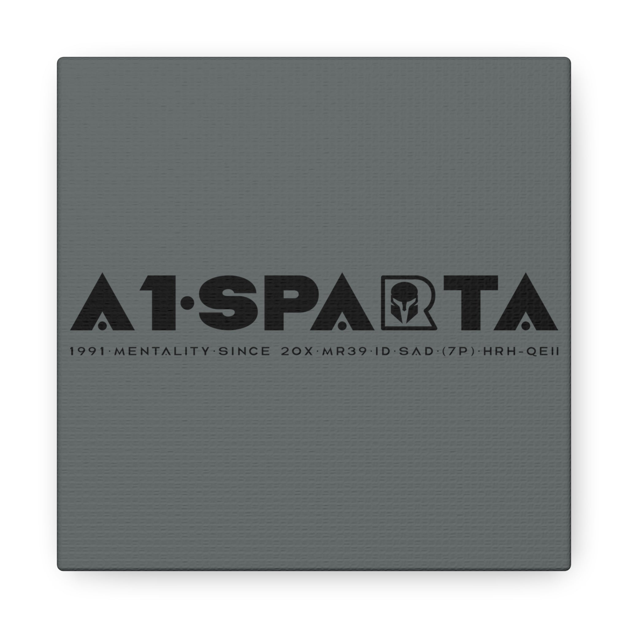 Canvas Gallery Wraps (A1•SPARTA RANGE)