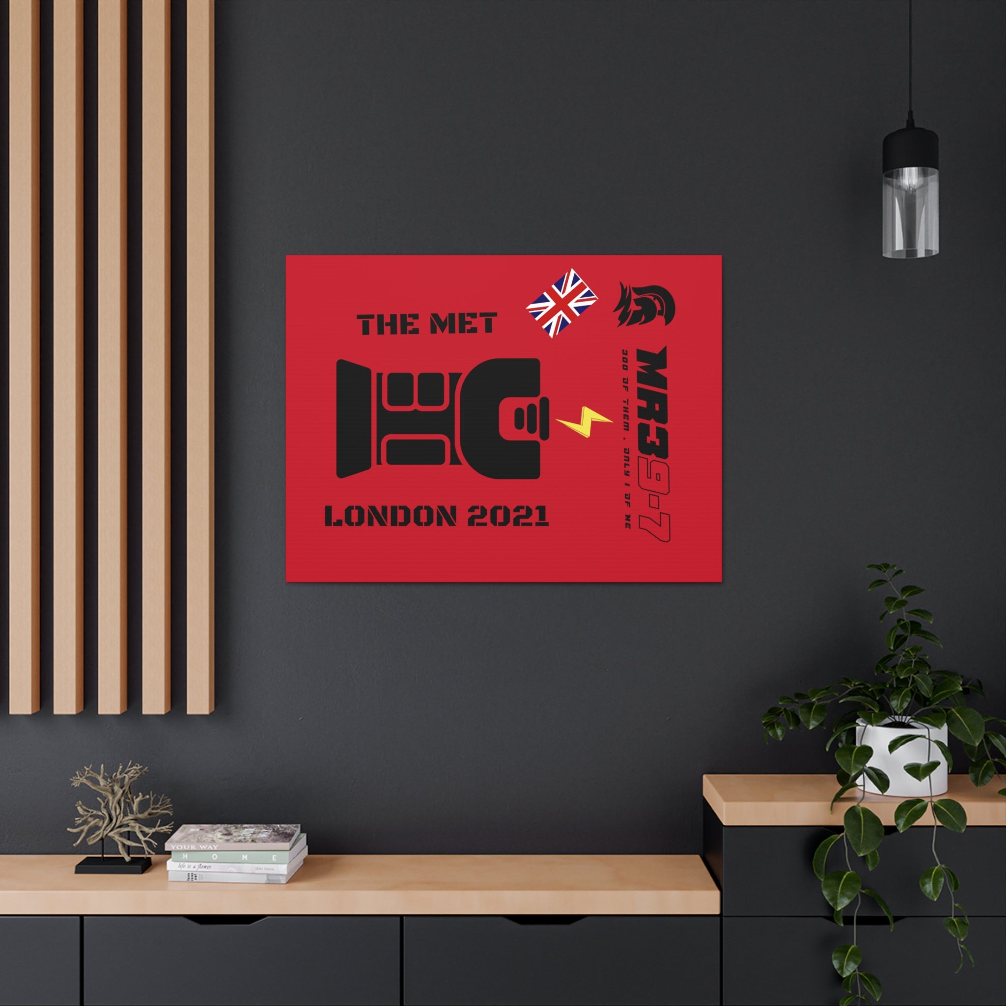 Canvas Gallery Wraps MR 39 Tasered by The MET 2021