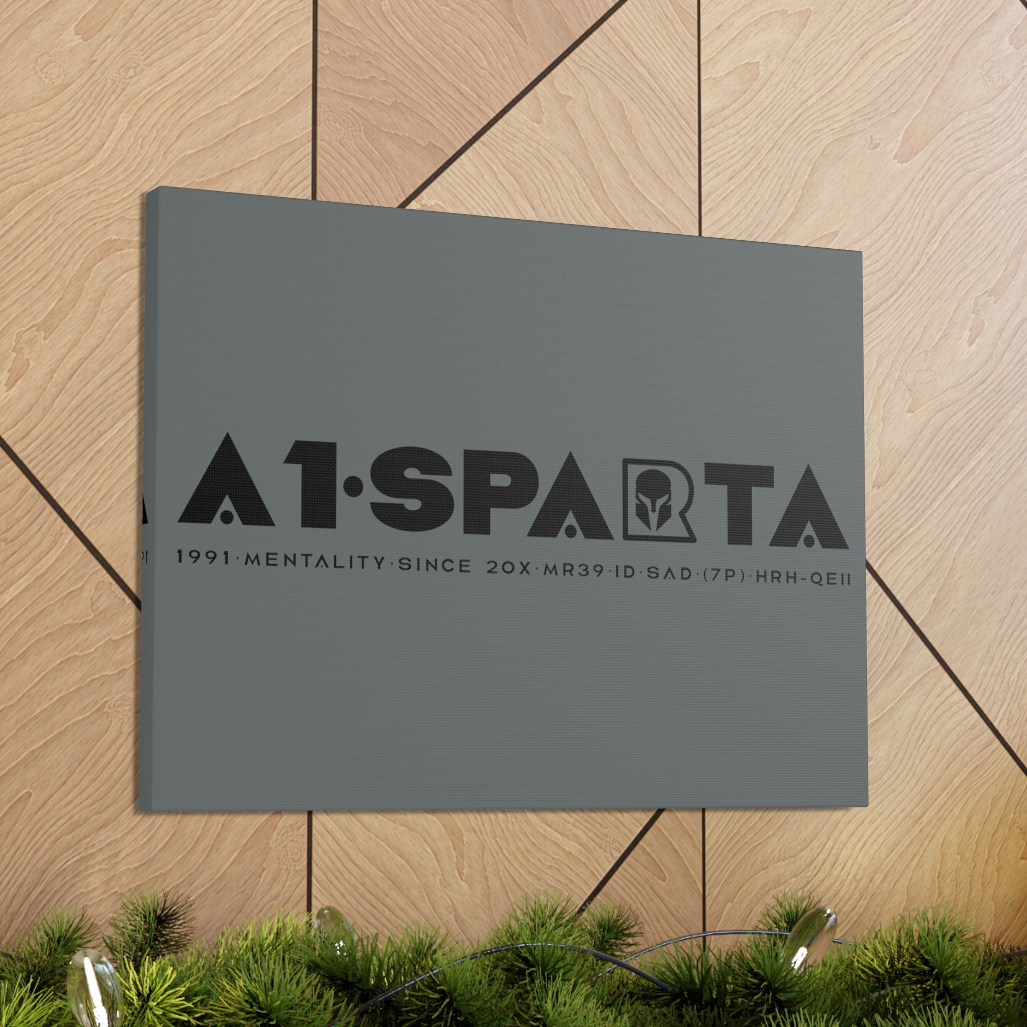 Canvas Gallery Wraps (A1•SPARTA RANGE)