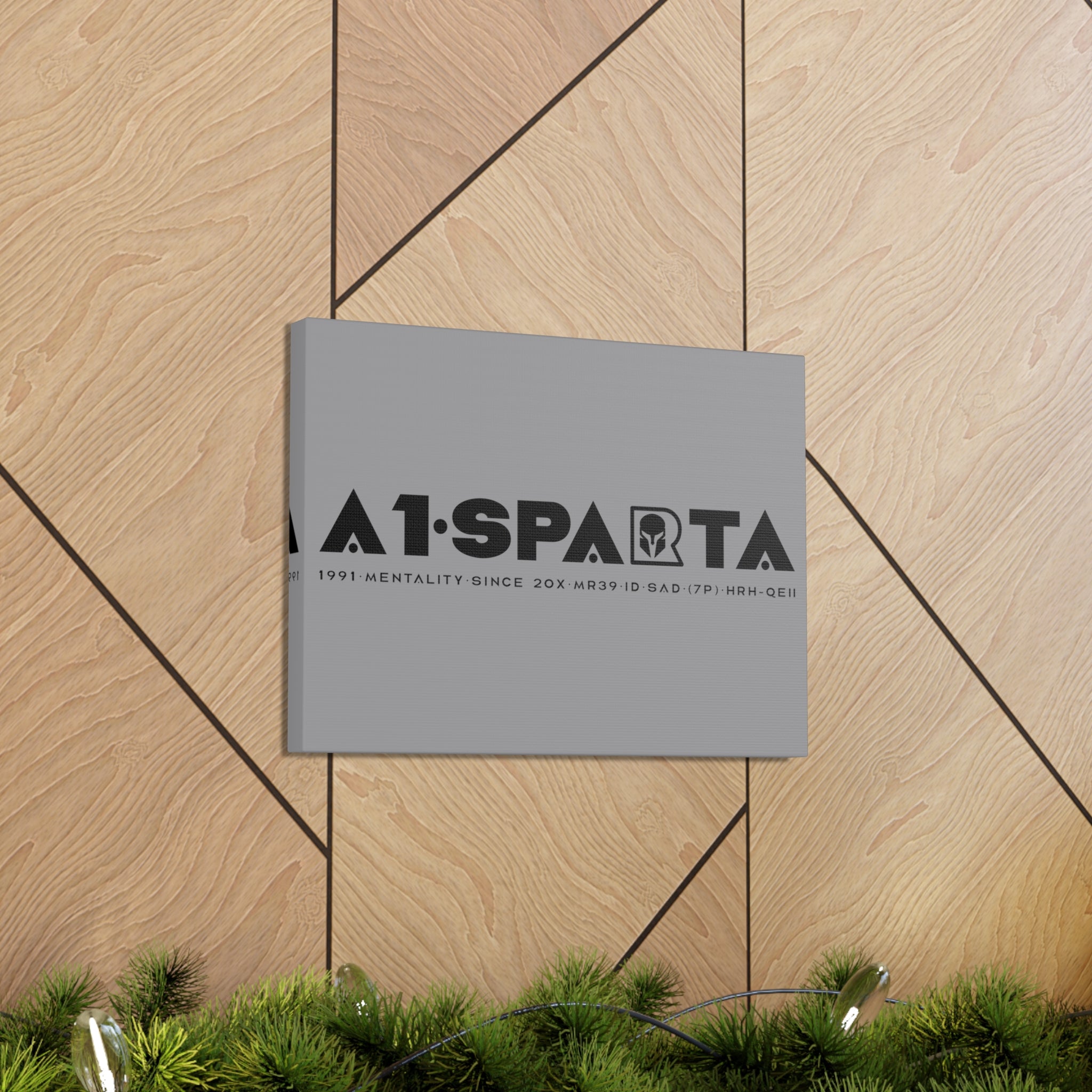 Canvas Gallery Wraps (A1•SPARTA RANGE)