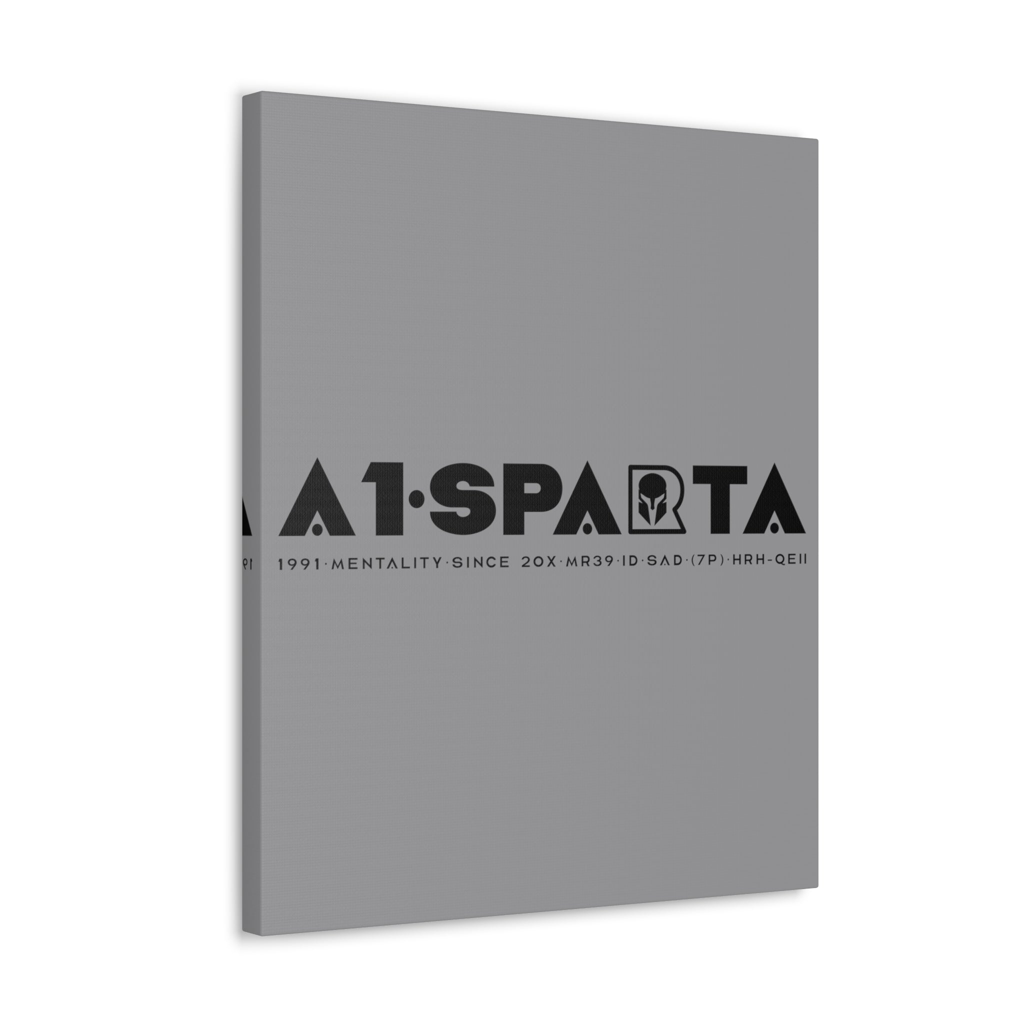 Canvas Gallery Wraps (A1•SPARTA RANGE)