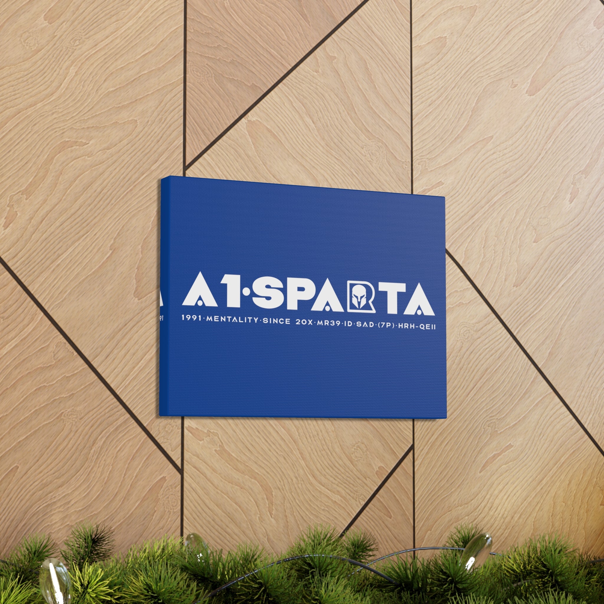 Canvas Gallery Wraps (A1•SPARTA RANGE)