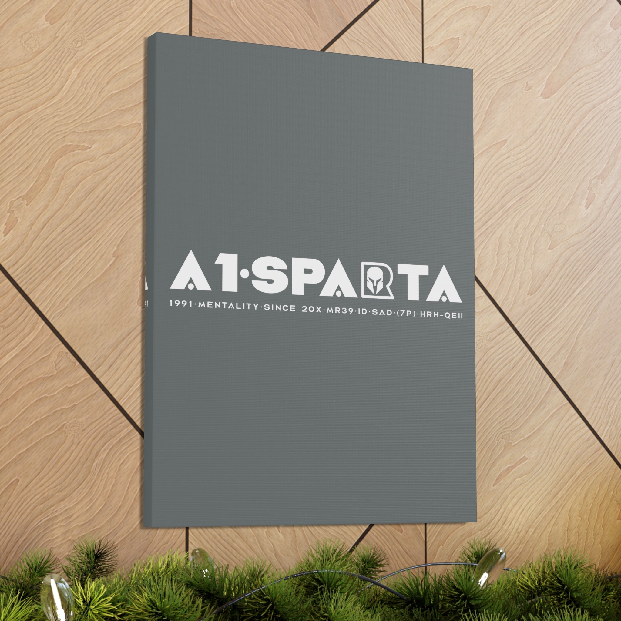 Canvas Gallery Wraps (A1•SPARTA RANGE)