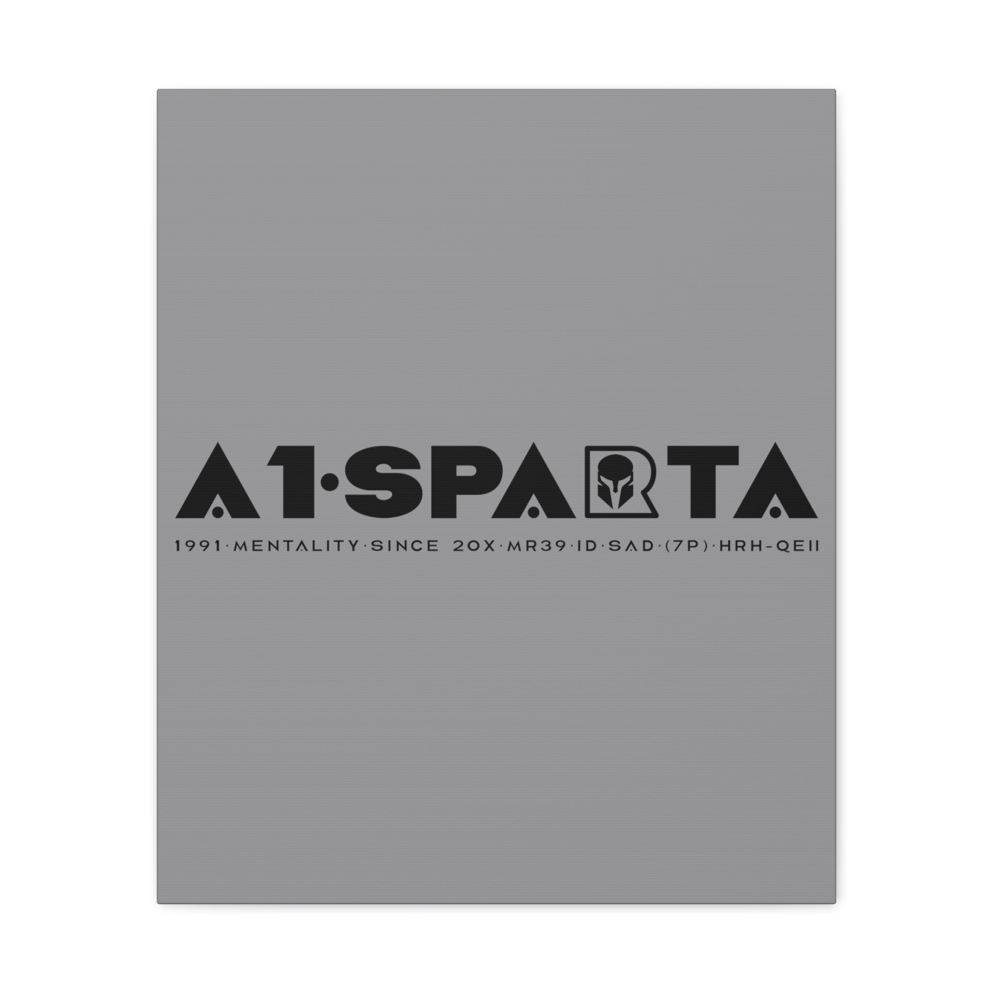 Canvas Gallery Wraps (A1•SPARTA RANGE)