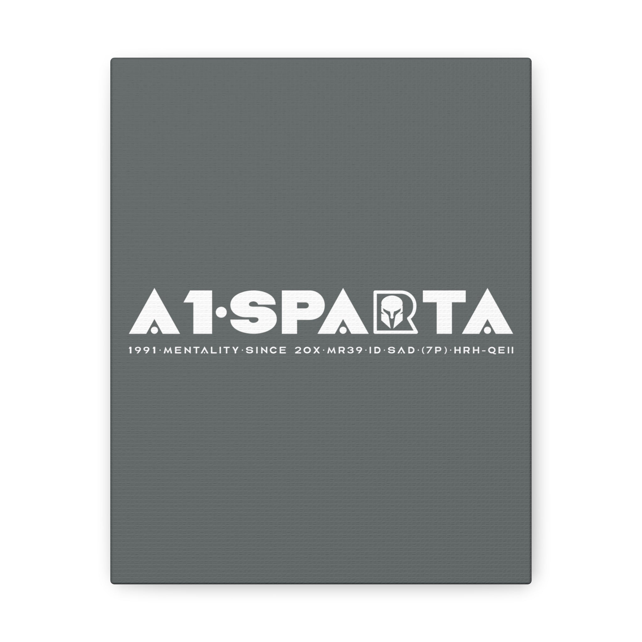 Canvas Gallery Wraps (A1•SPARTA RANGE)