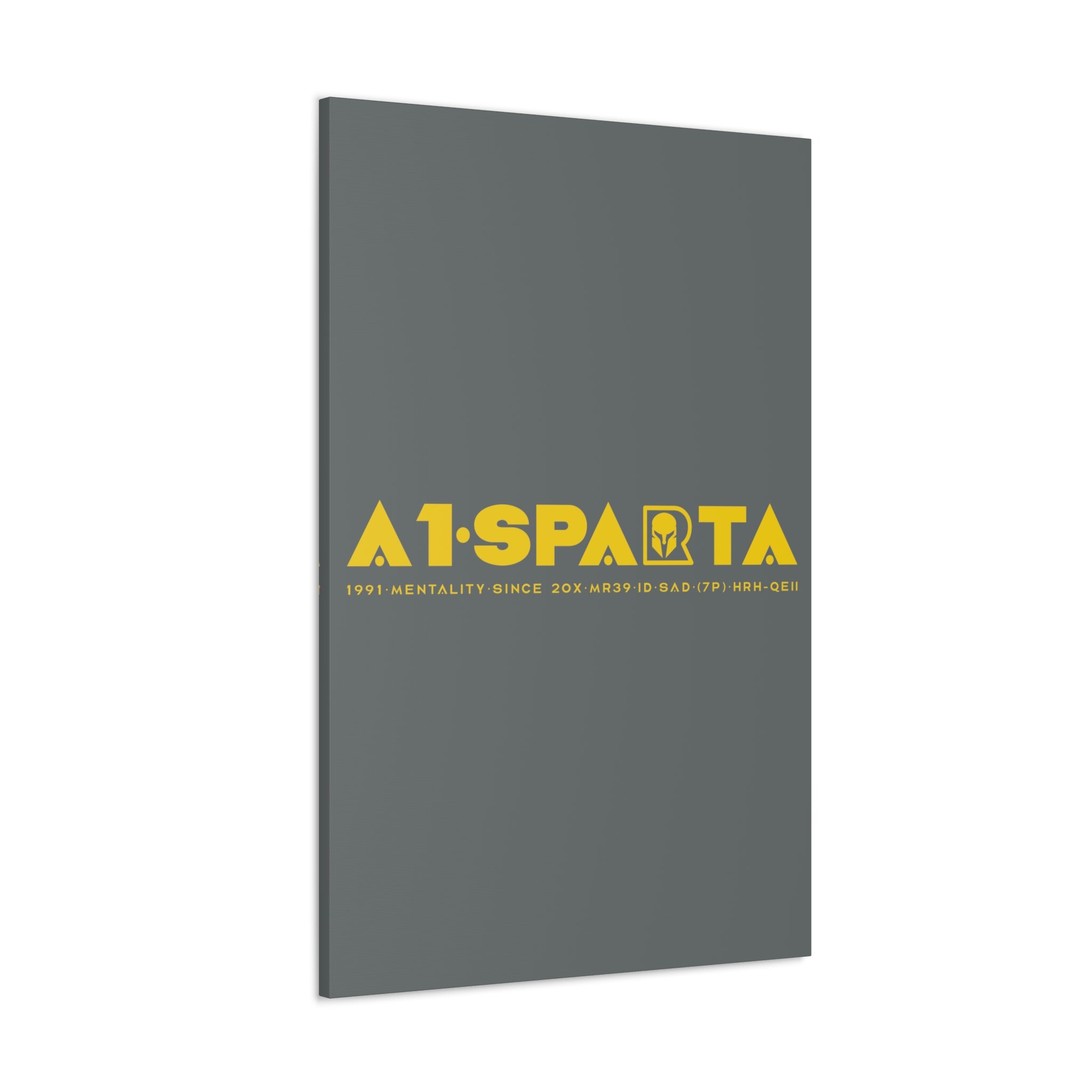 Canvas Gallery Wraps (A1•SPARTA RANGE)
