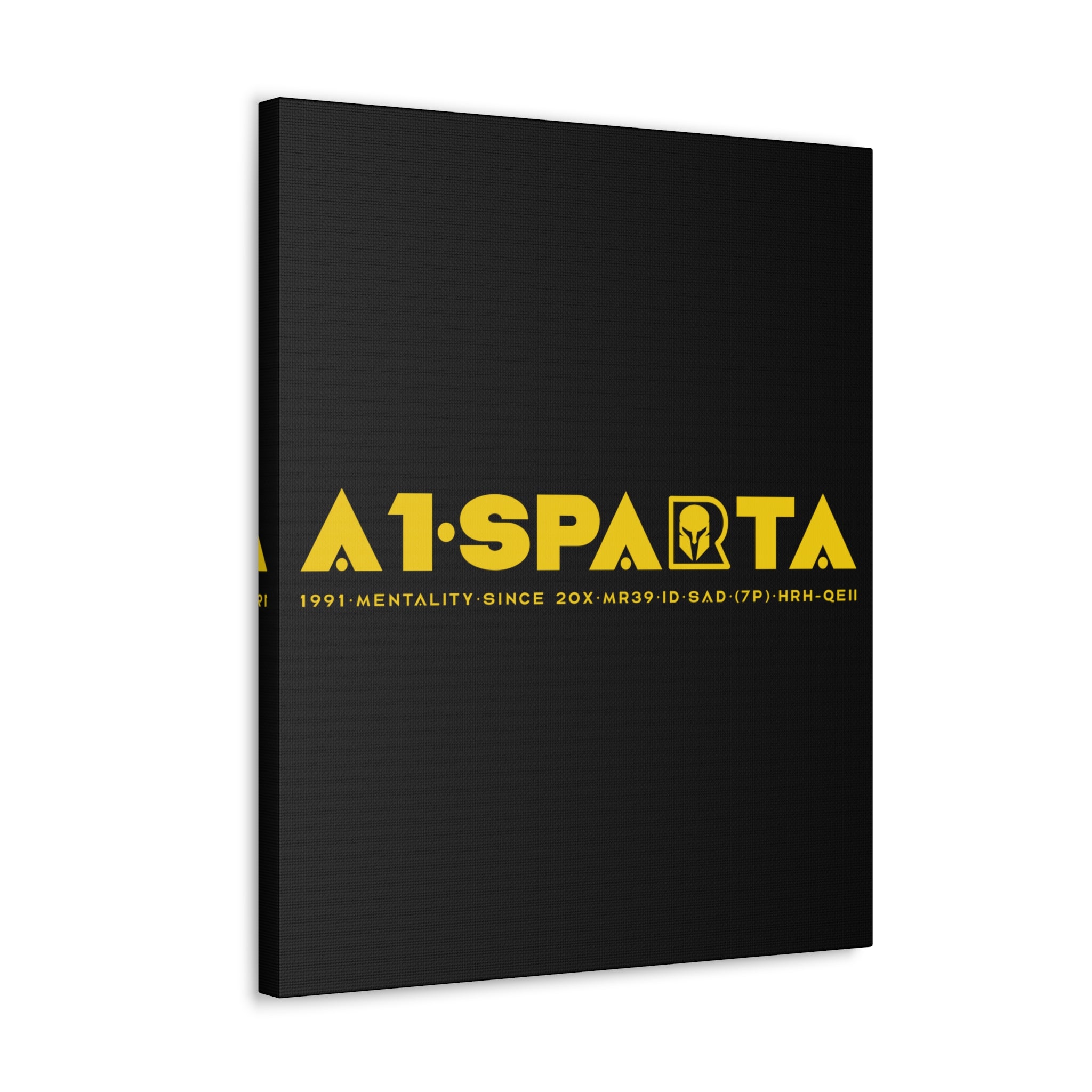 Canvas Gallery Wraps (A1•SPARTA RANGE)