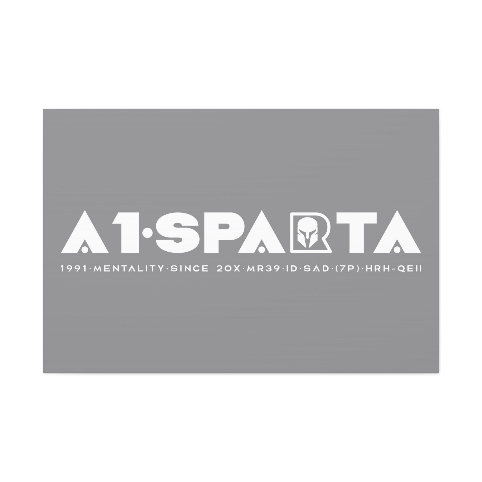 Canvas Gallery Wraps (A1•SPARTA RANGE)