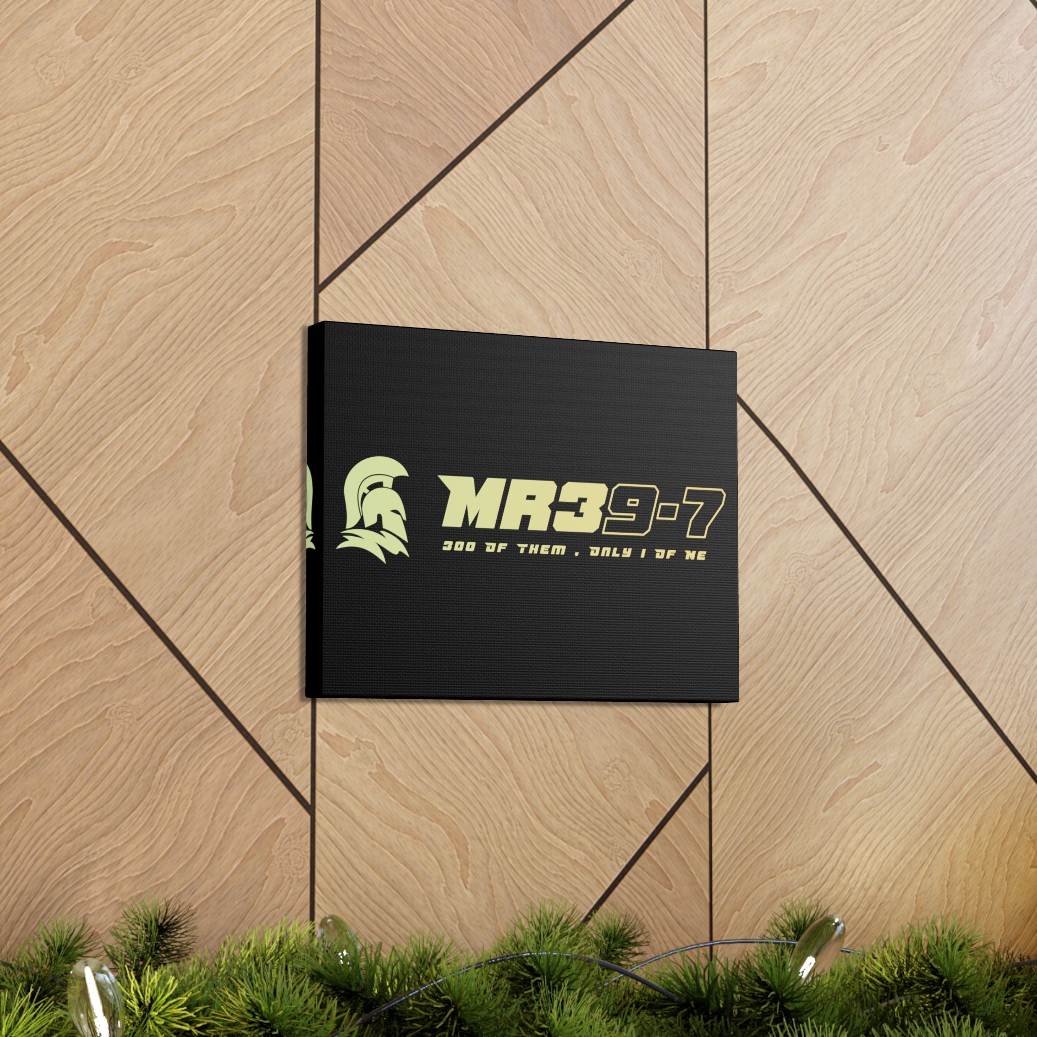 Canvas Gallery Wraps (A1•SPARTA RANGE)