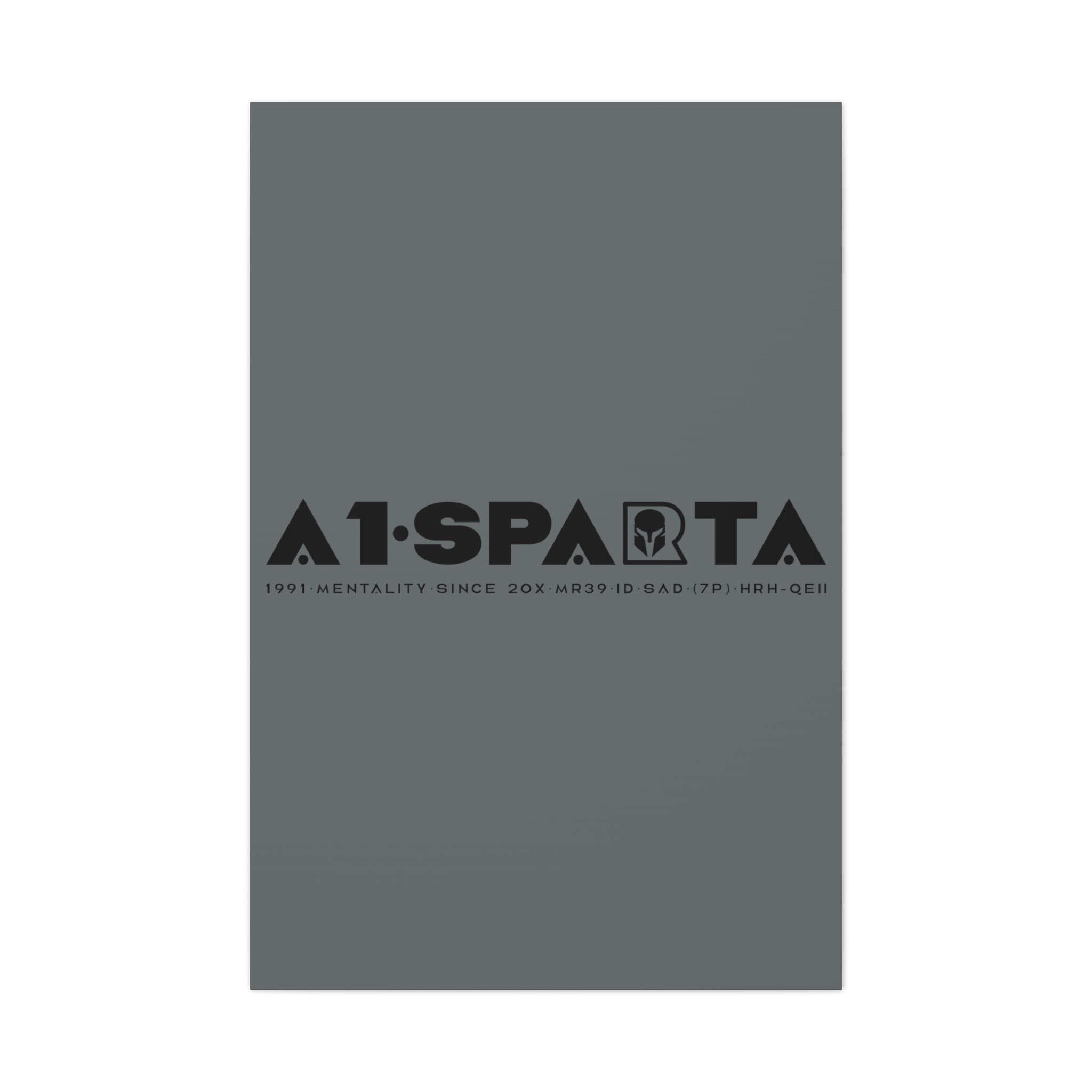 Canvas Gallery Wraps (A1•SPARTA RANGE)