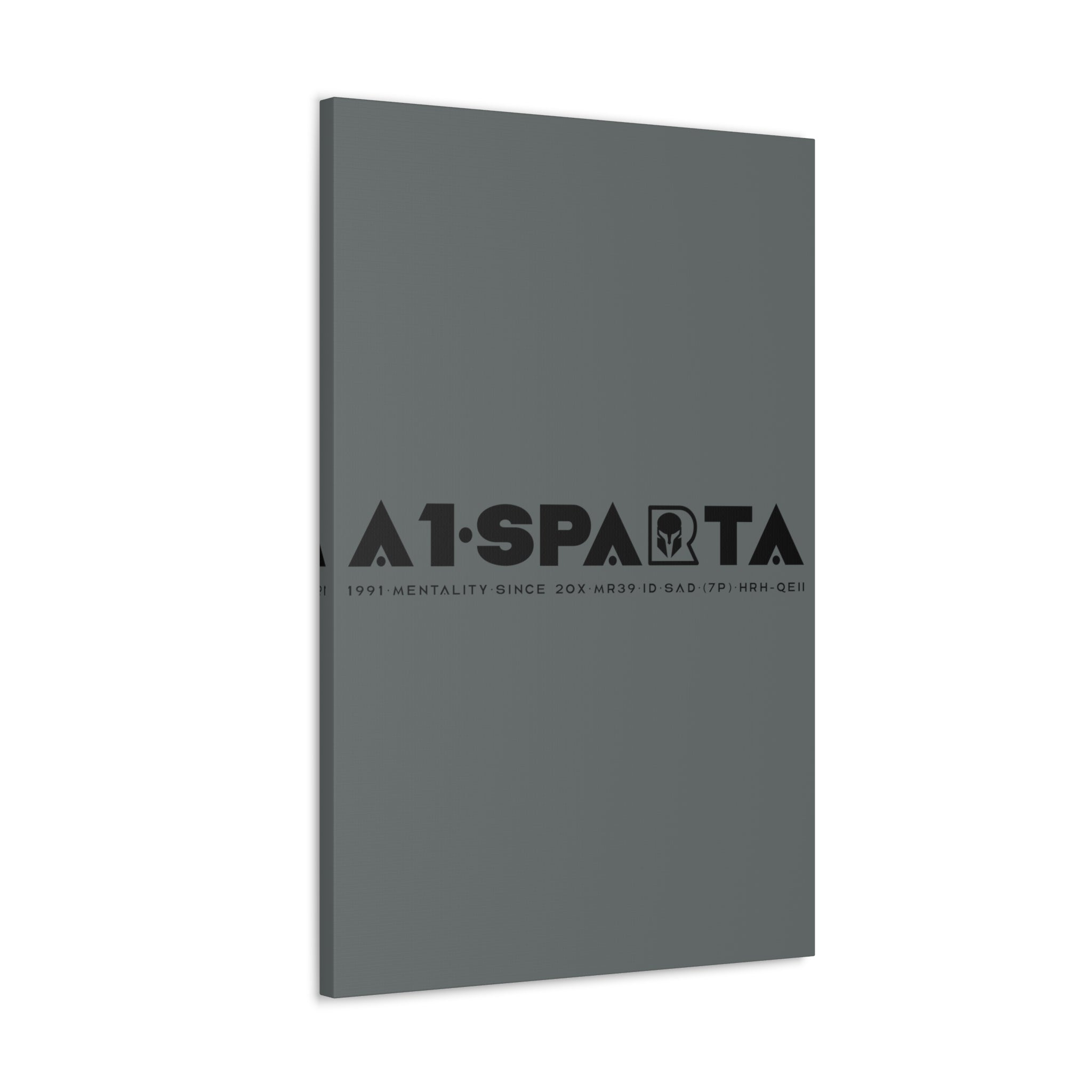 Canvas Gallery Wraps (A1•SPARTA RANGE)
