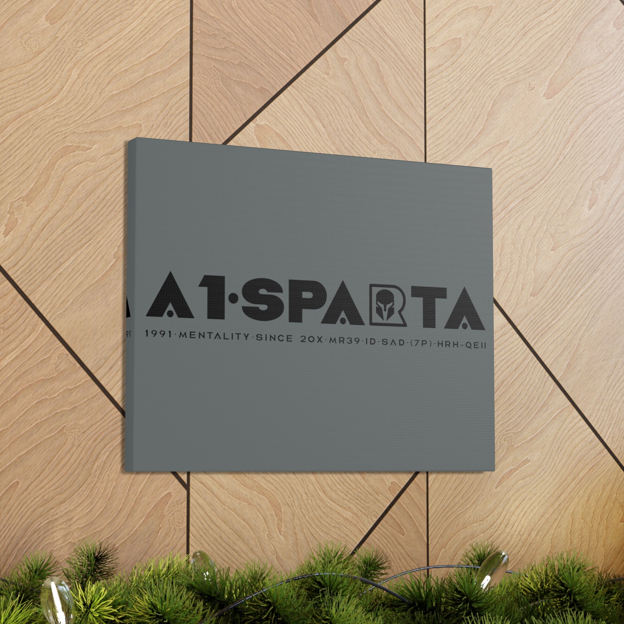 Canvas Gallery Wraps (A1•SPARTA RANGE)