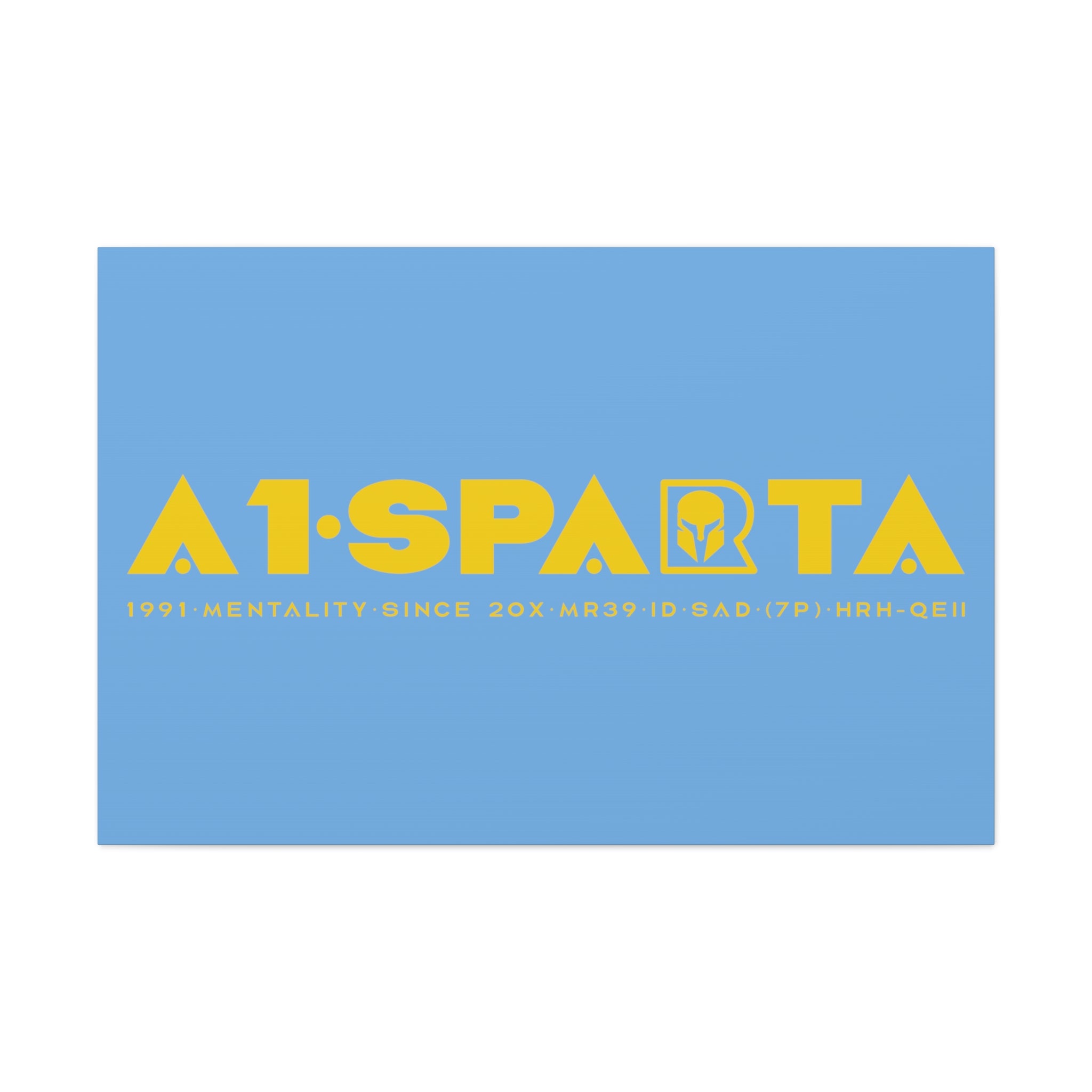 Canvas Gallery Wraps (A1•SPARTA RANGE)