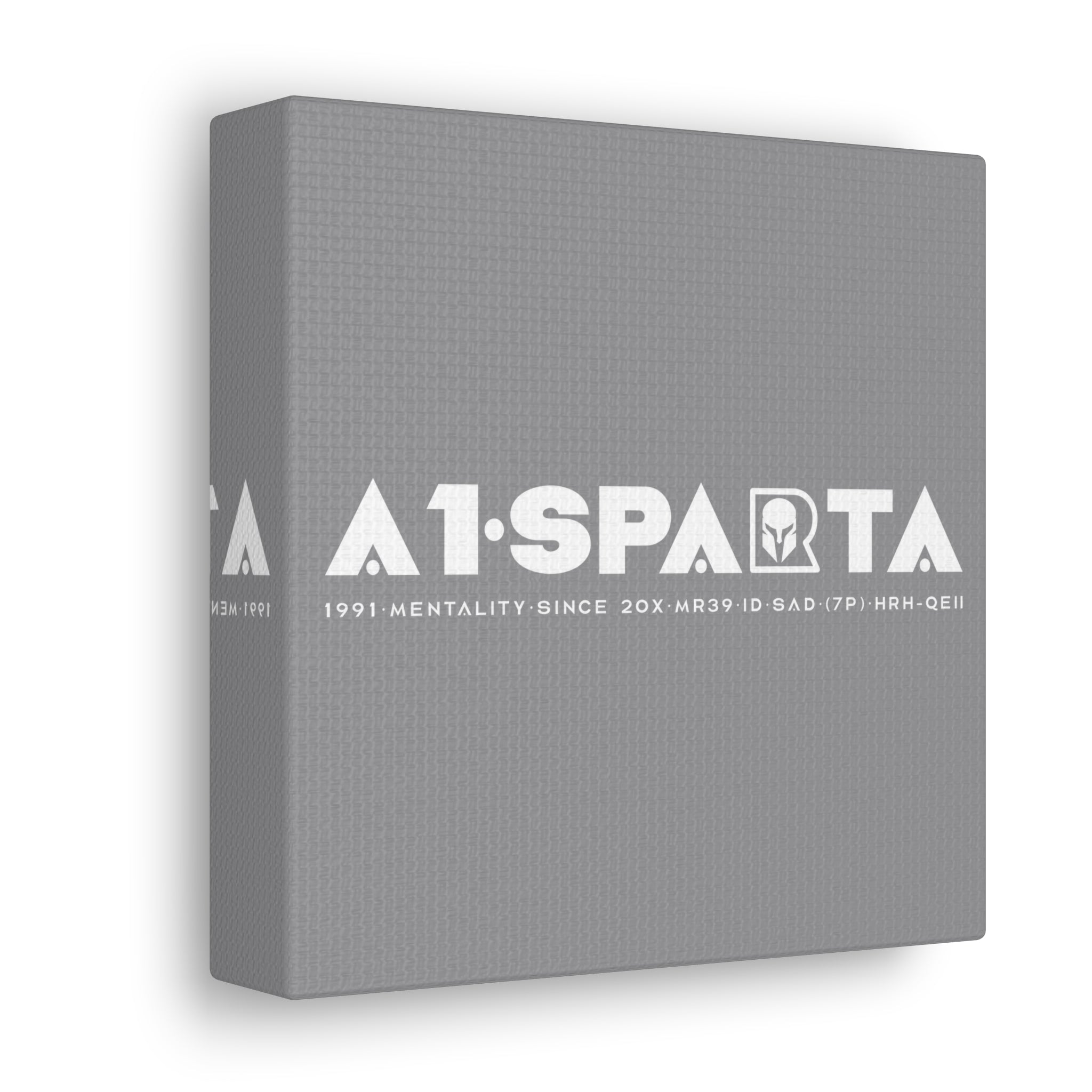 Canvas Gallery Wraps (A1•SPARTA RANGE)