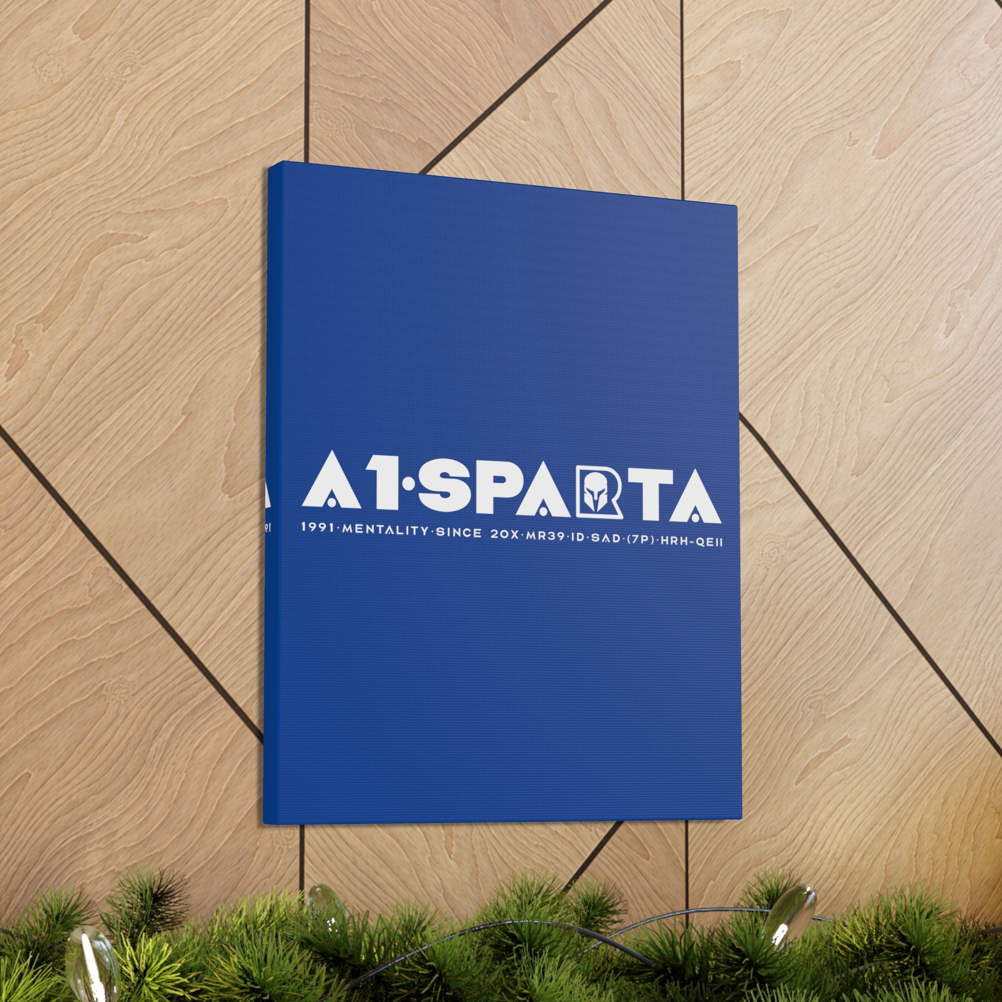 Canvas Gallery Wraps (A1•SPARTA RANGE)