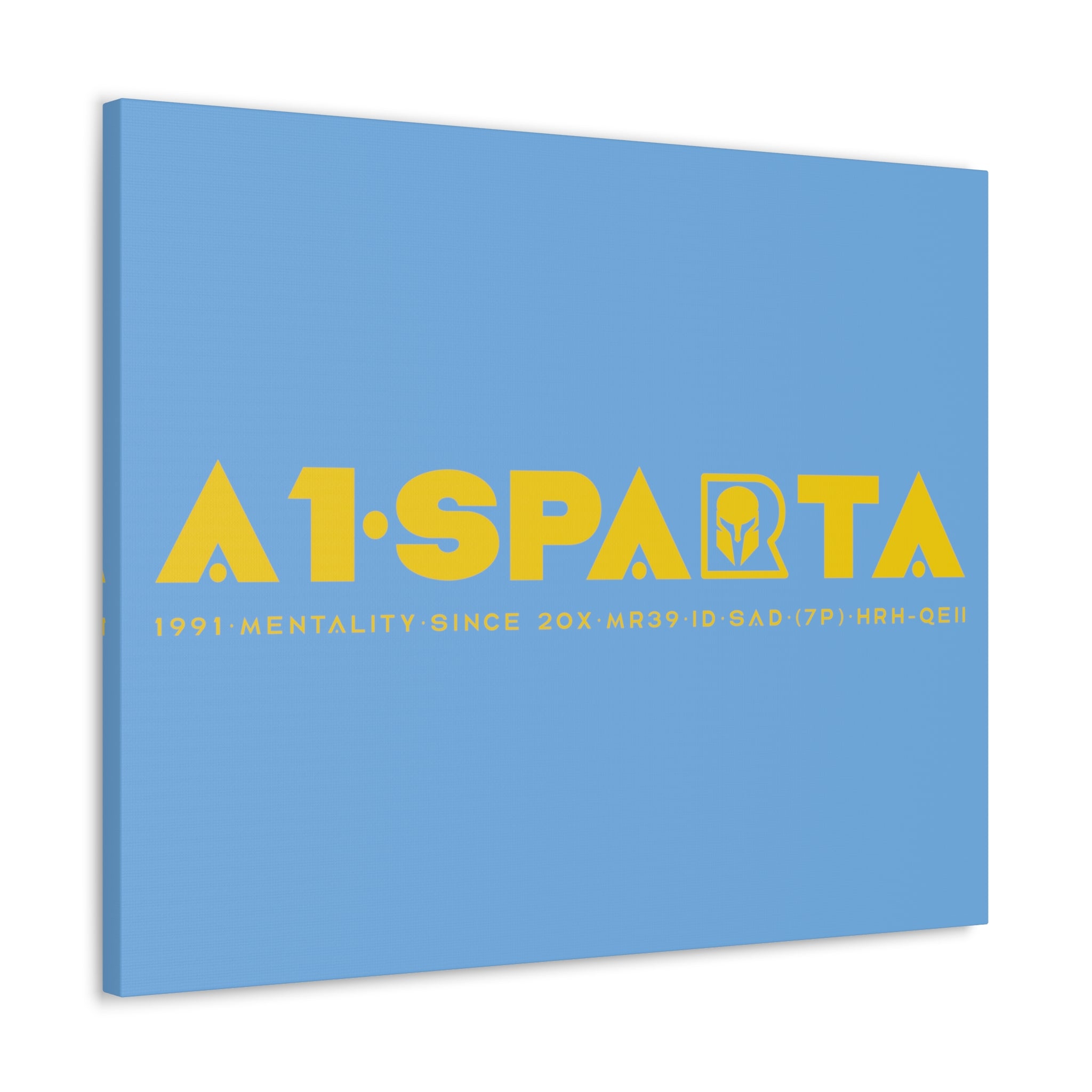 Canvas Gallery Wraps (A1•SPARTA RANGE)