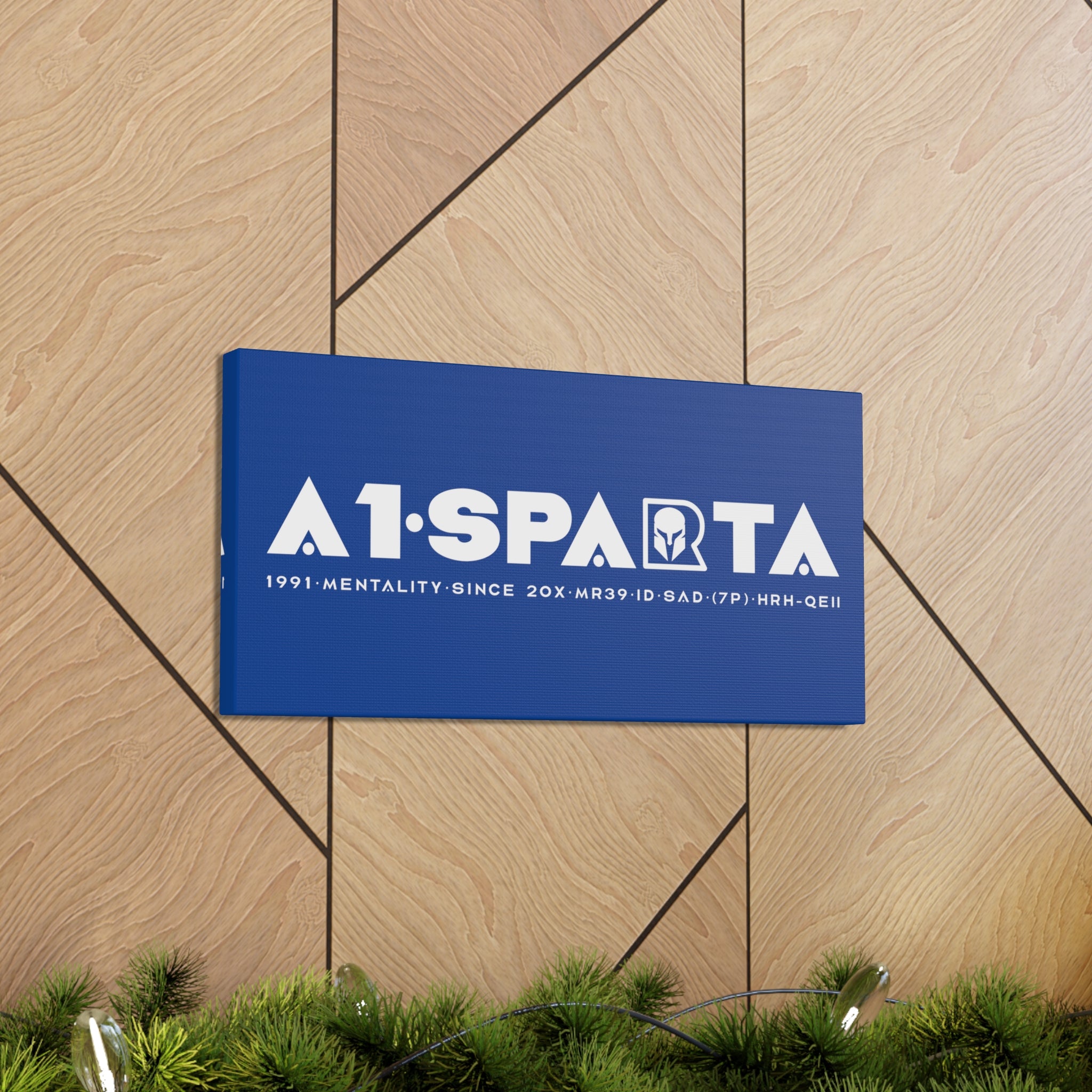 Canvas Gallery Wraps (A1•SPARTA RANGE)