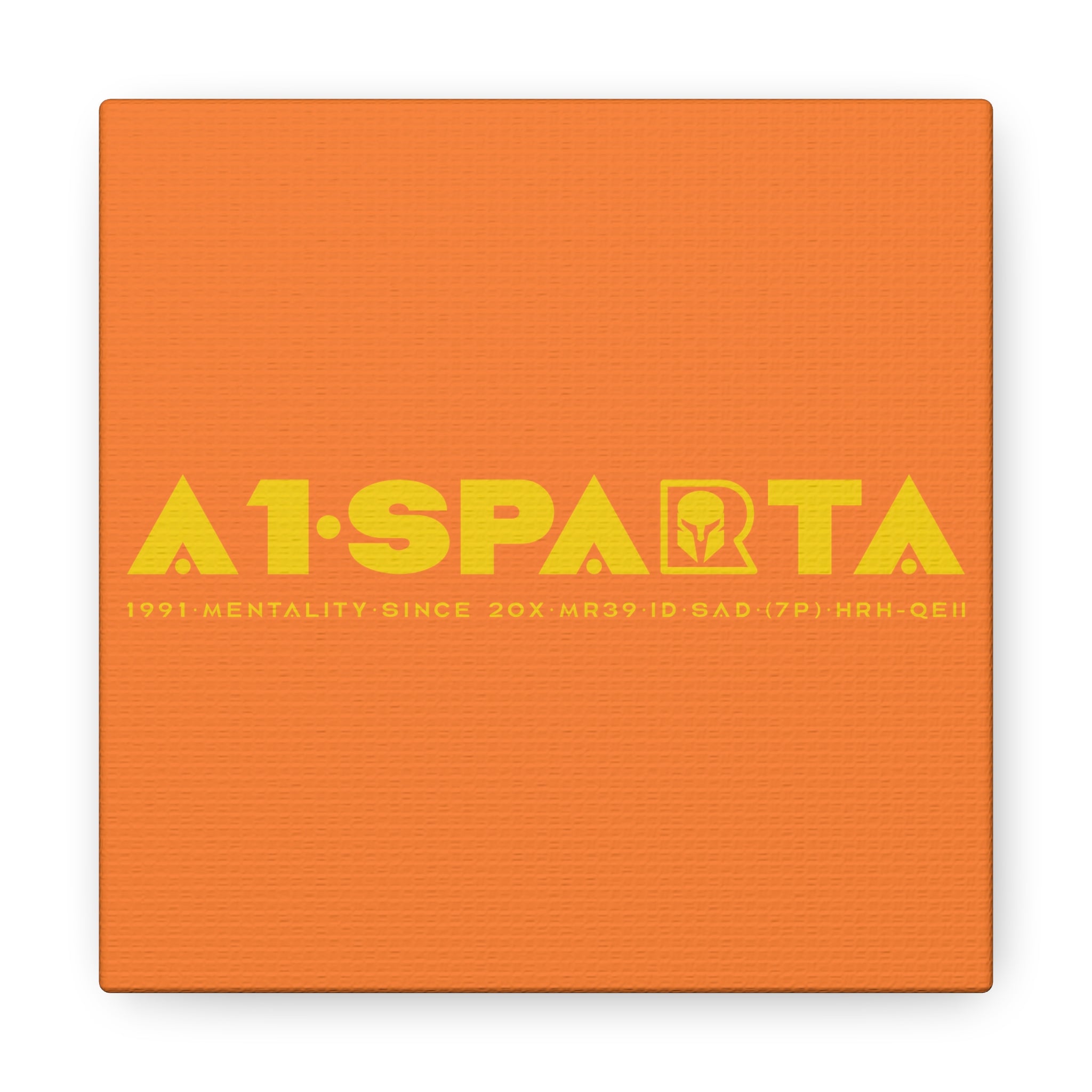 Canvas Gallery Wraps (A1•SPARTA RANGE)