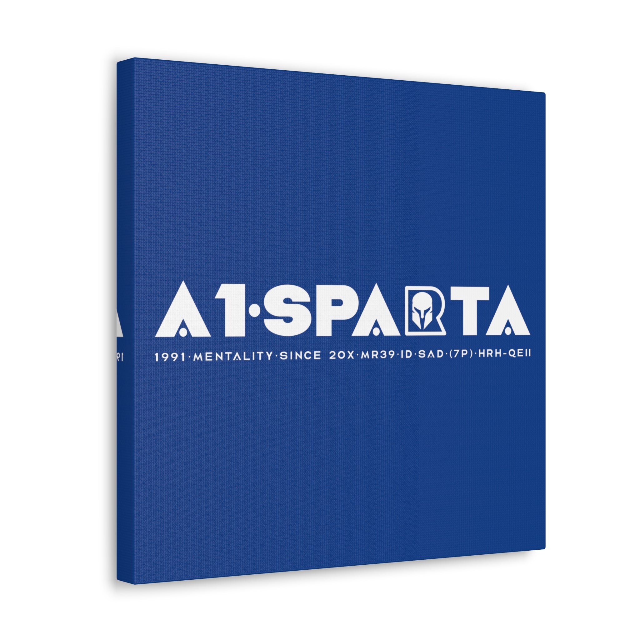 Canvas Gallery Wraps (A1•SPARTA RANGE)