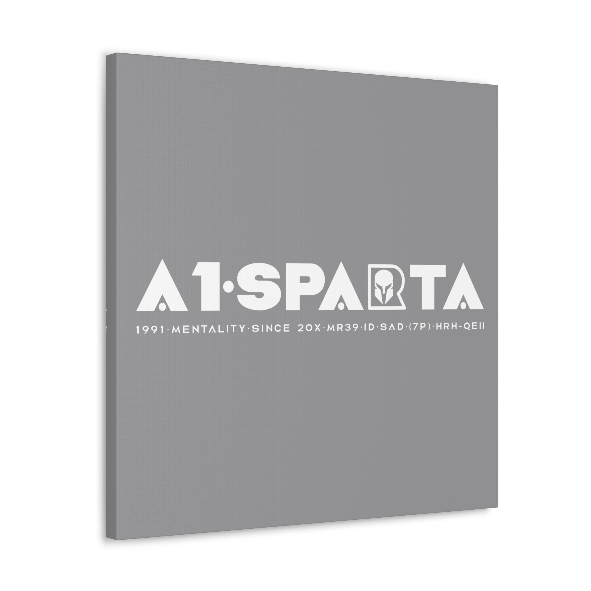 Canvas Gallery Wraps (A1•SPARTA RANGE)