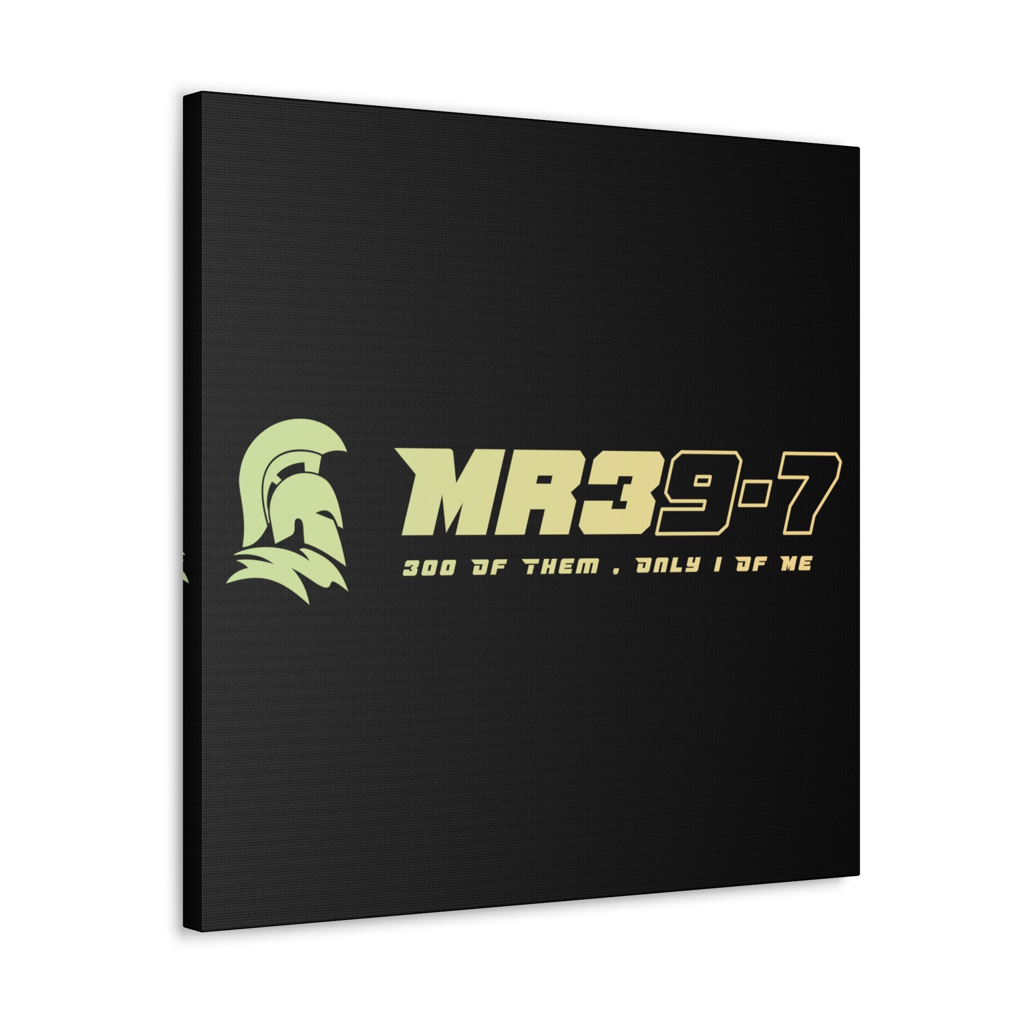 Canvas Gallery Wraps (A1•SPARTA RANGE)