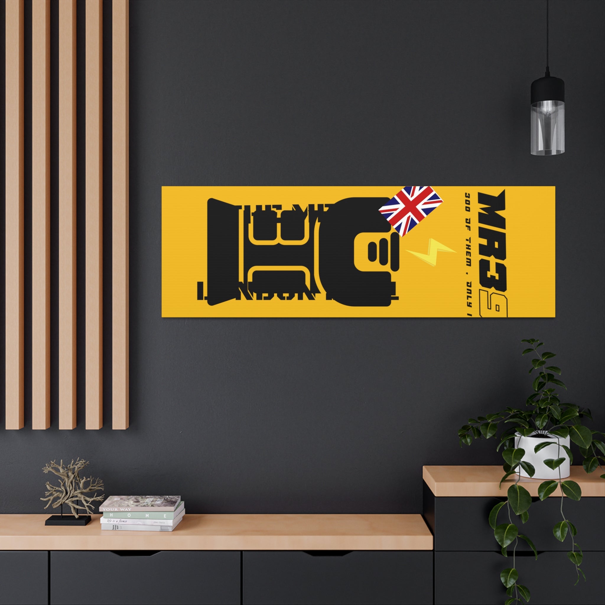 Canvas Gallery Wraps MR 39 Tasered by The MET 2021