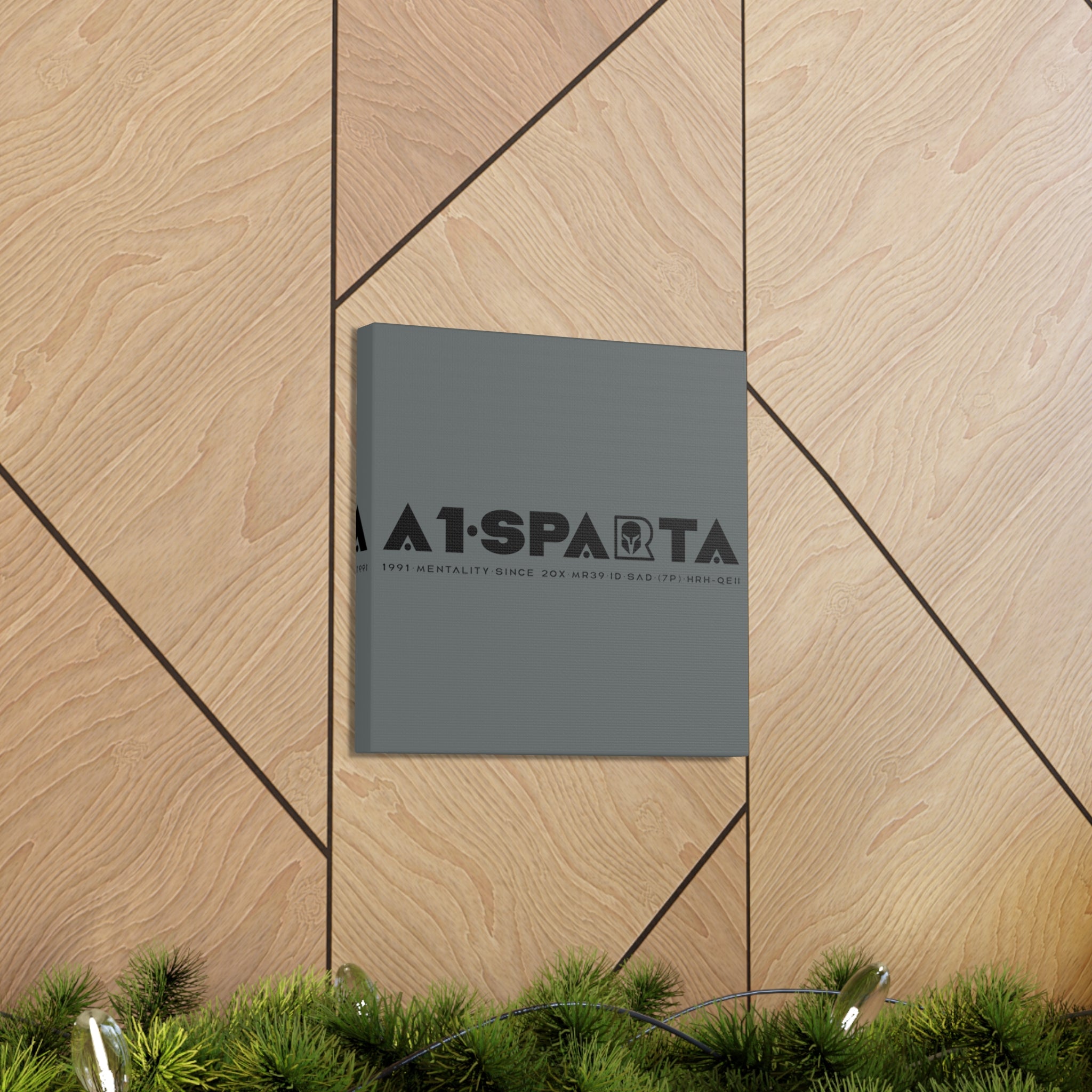 Canvas Gallery Wraps (A1•SPARTA RANGE)