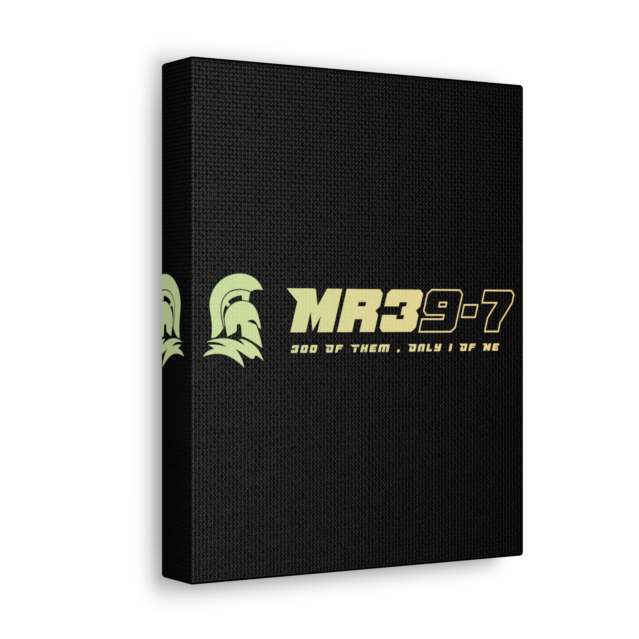 Canvas Gallery Wraps (A1•SPARTA RANGE)