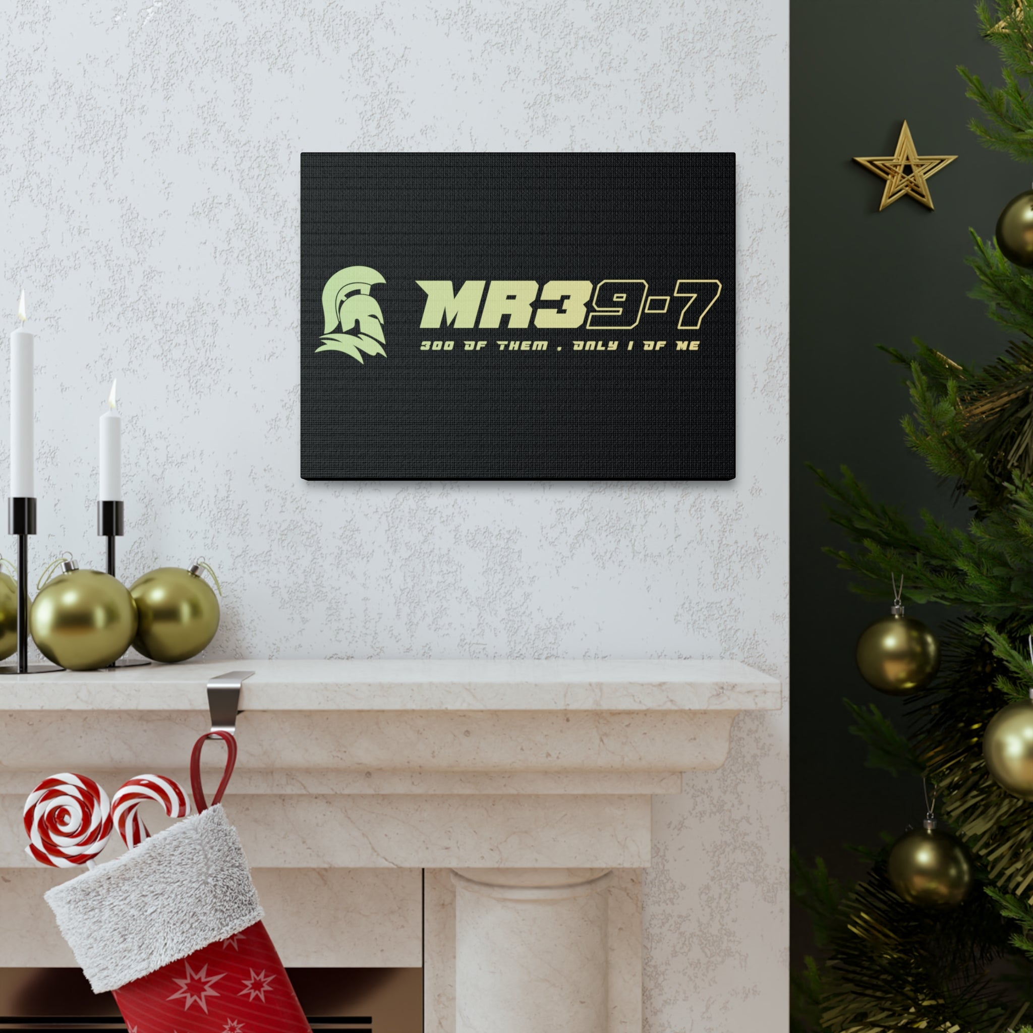 Canvas Gallery Wraps (A1•SPARTA RANGE)