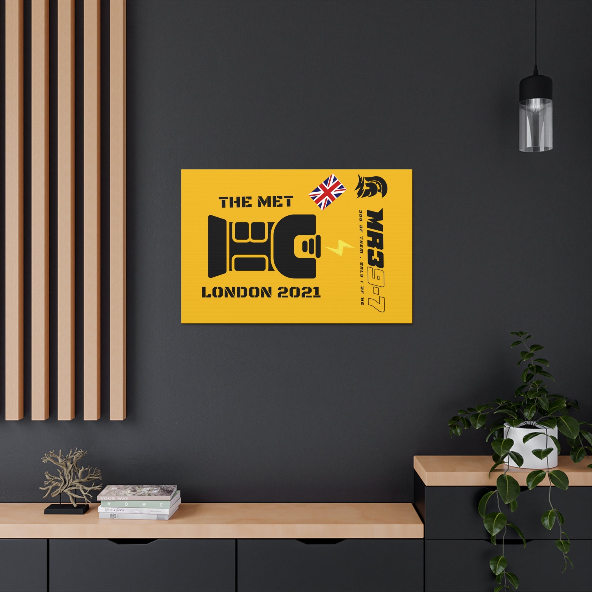 Canvas Gallery Wraps MR 39 Tasered by The MET 2021