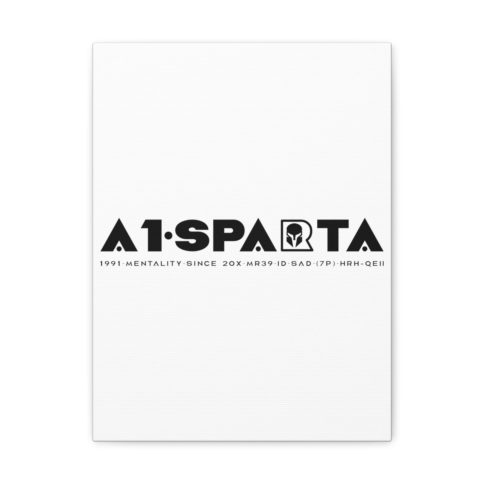 Canvas Gallery Wraps (A1•SPARTA RANGE)