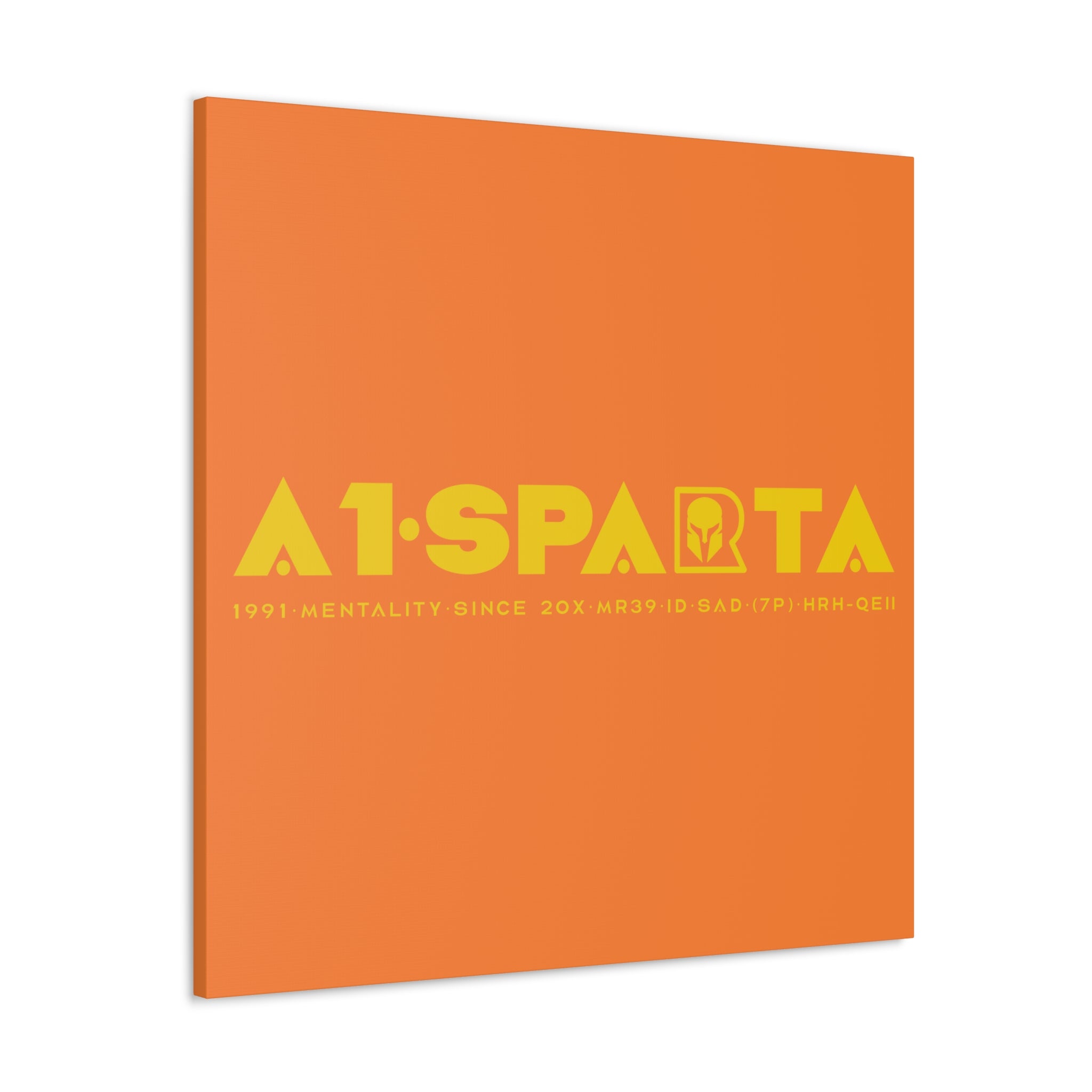 Canvas Gallery Wraps (A1•SPARTA RANGE)