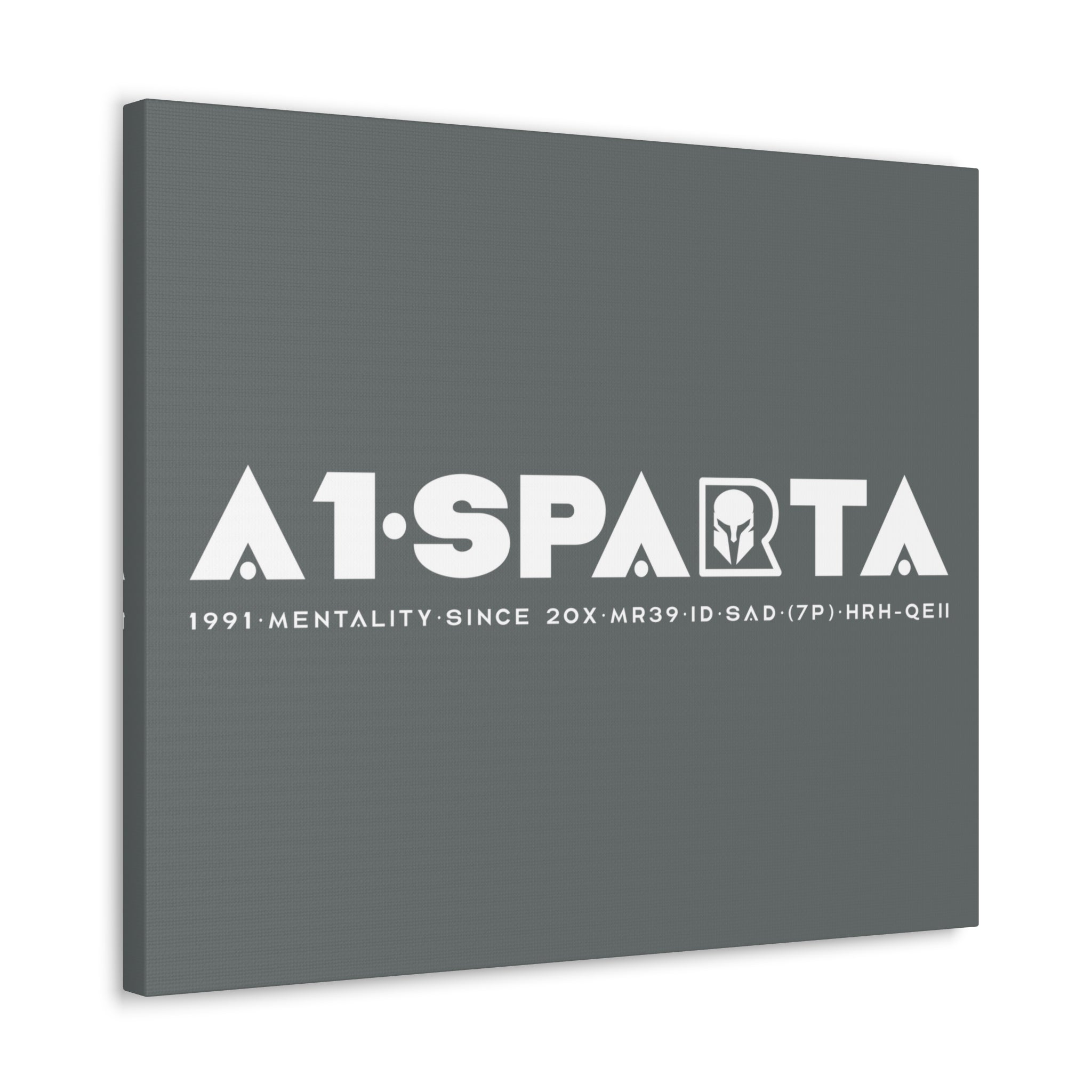 Canvas Gallery Wraps (A1•SPARTA RANGE)