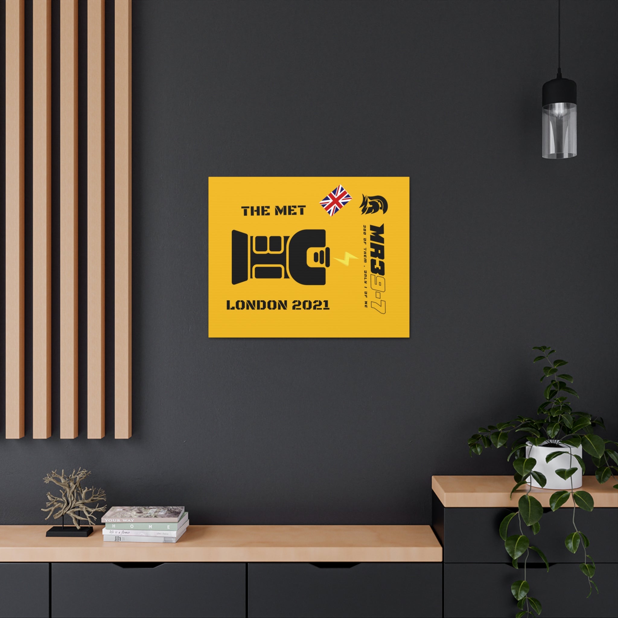 Canvas Gallery Wraps MR 39 Tasered by The MET 2021