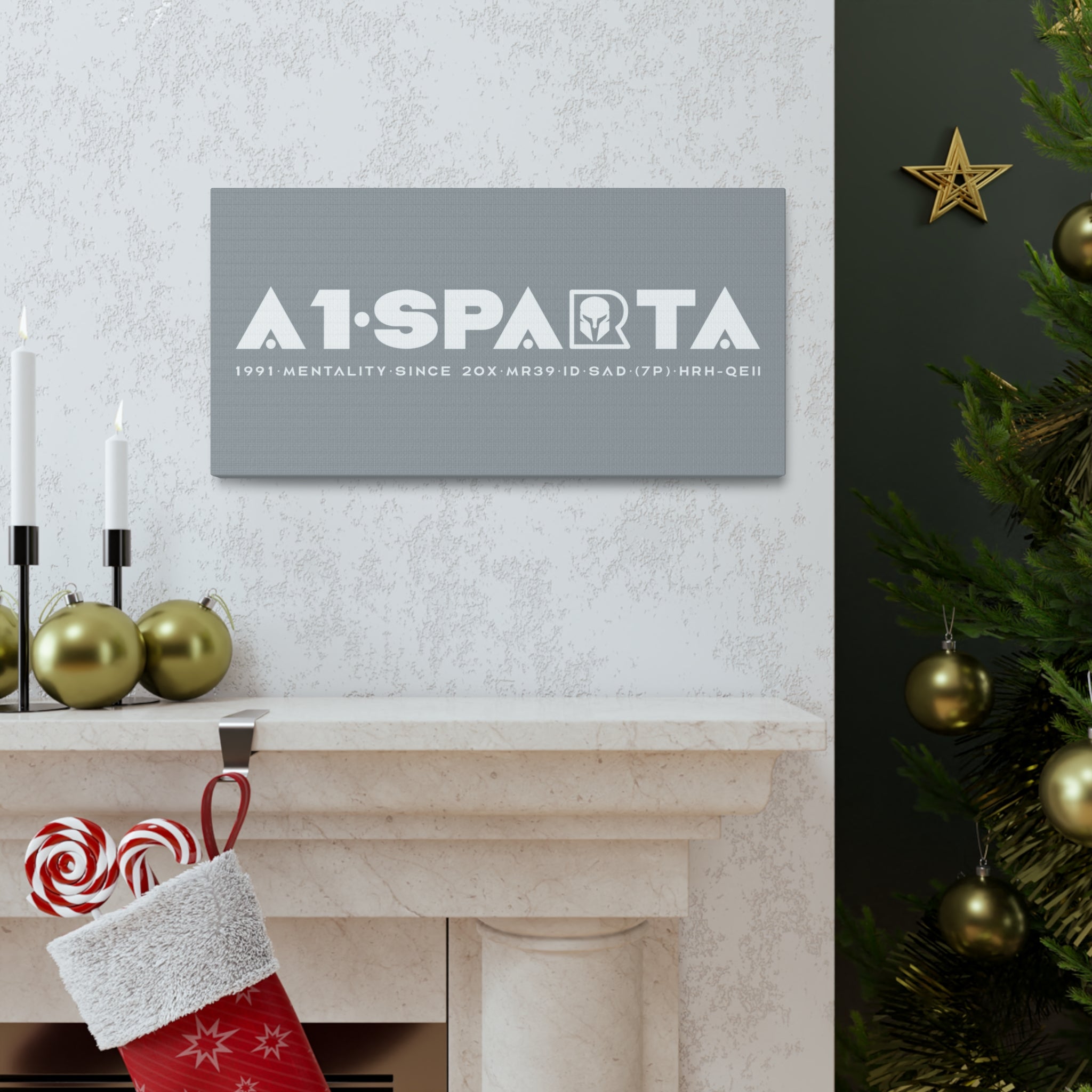 Canvas Gallery Wraps (A1•SPARTA RANGE)