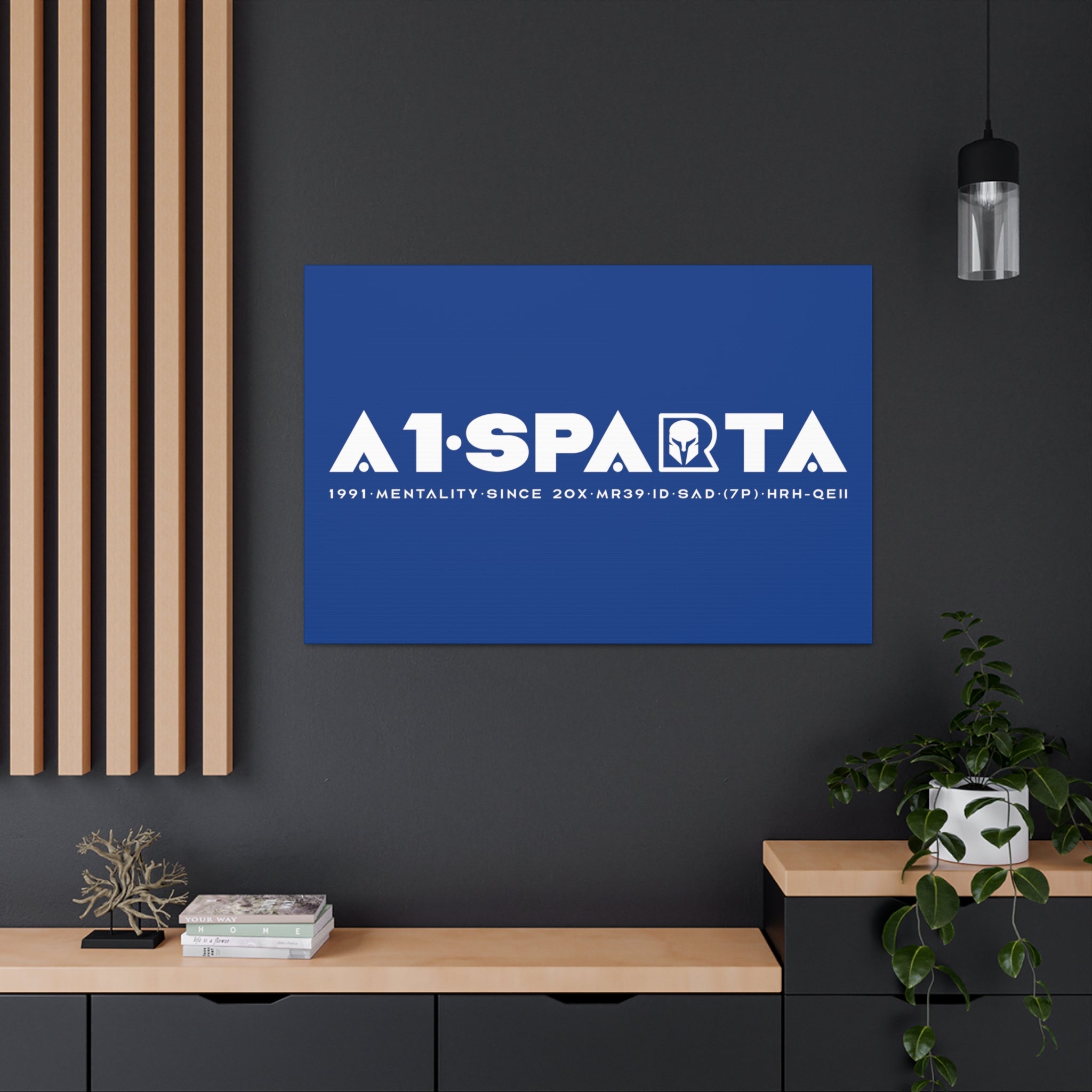 Canvas Gallery Wraps (A1•SPARTA RANGE)