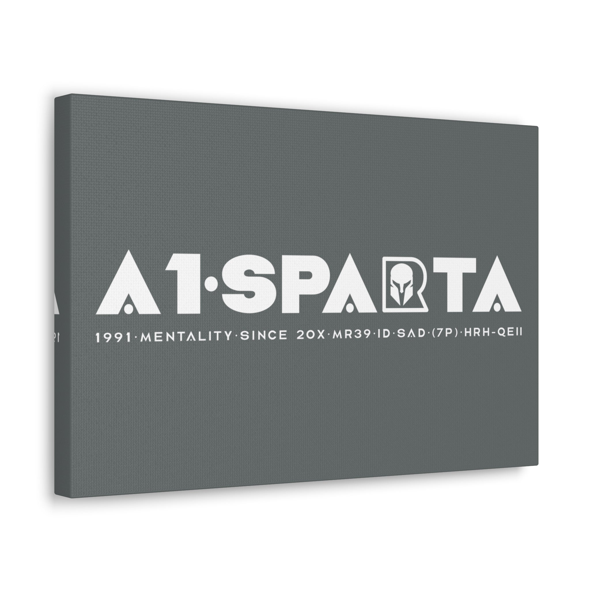 Canvas Gallery Wraps (A1•SPARTA RANGE)