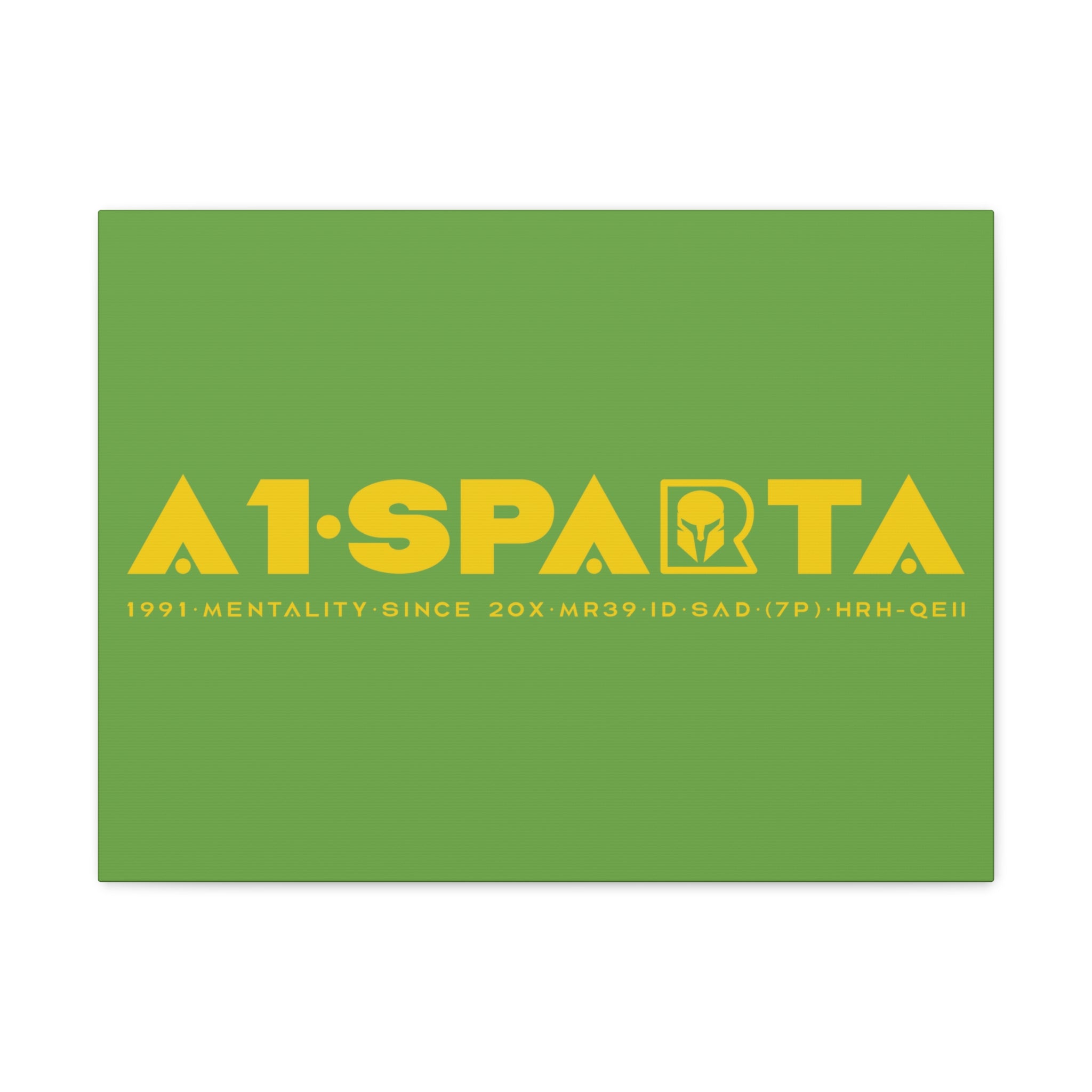 Canvas Gallery Wraps (A1•SPARTA RANGE)